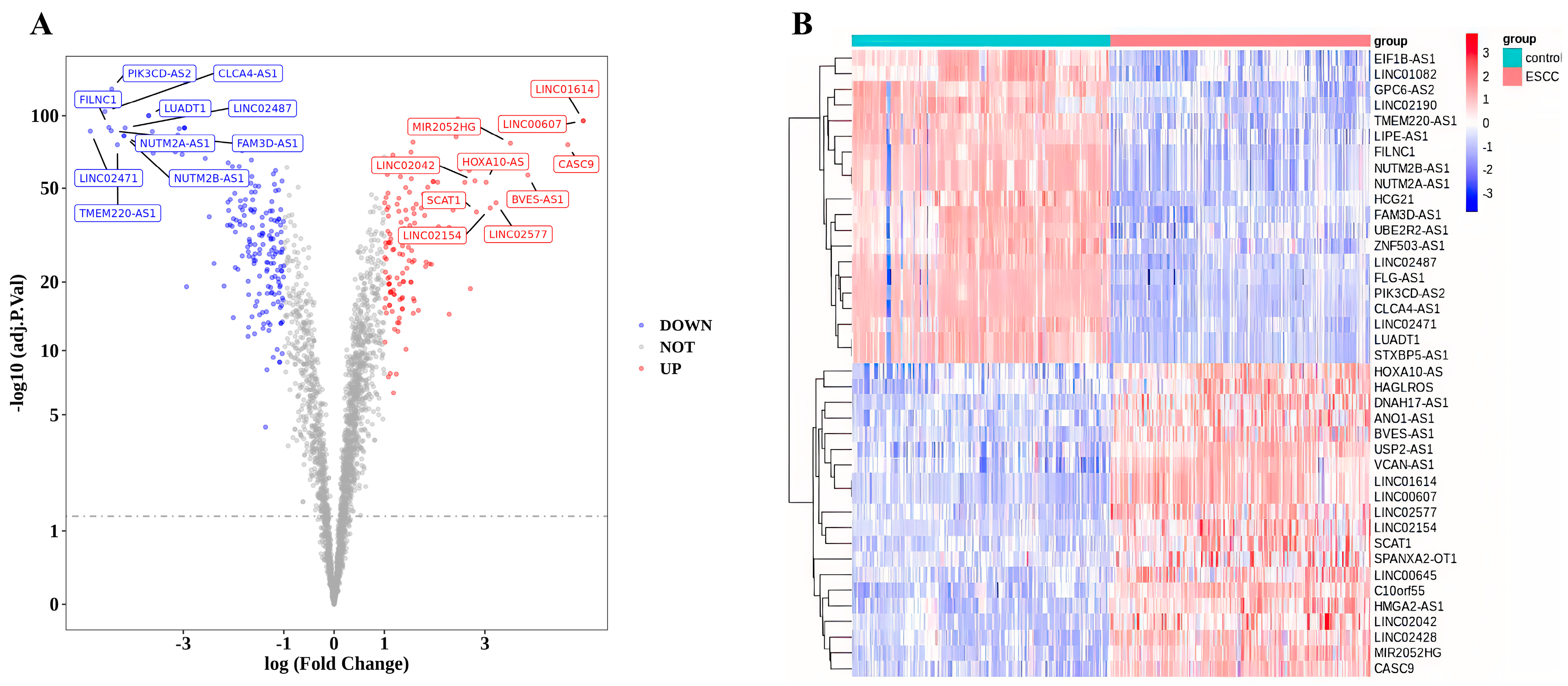 Cancers 15 04399 g002