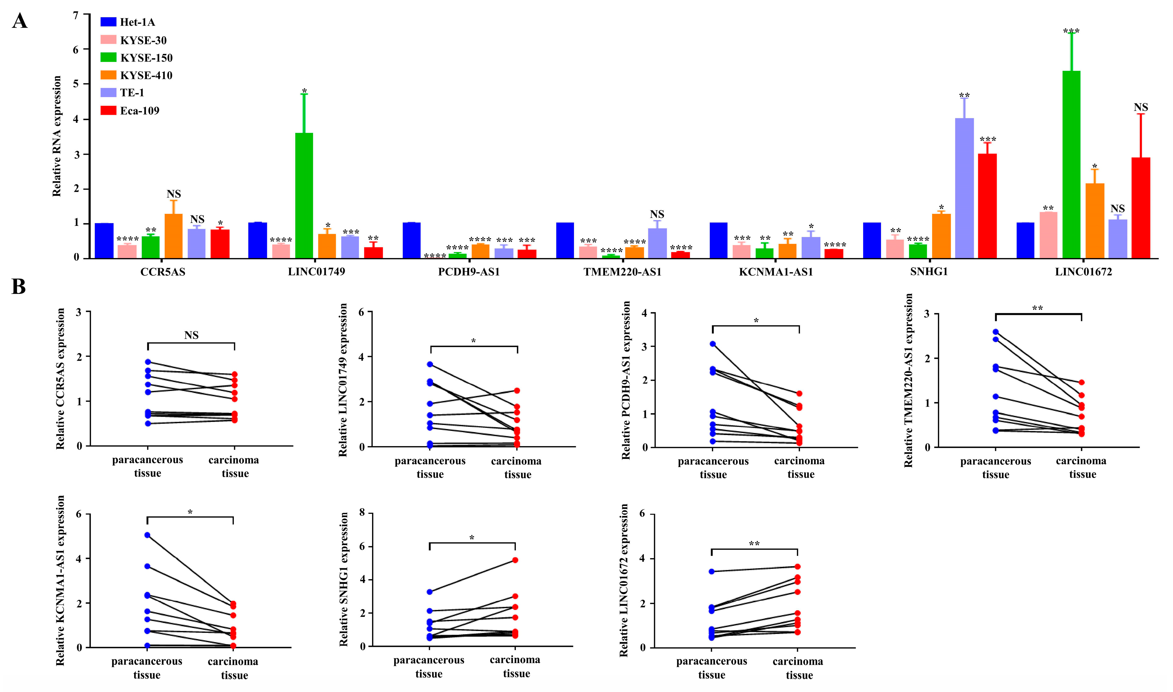 Cancers 15 04399 g008