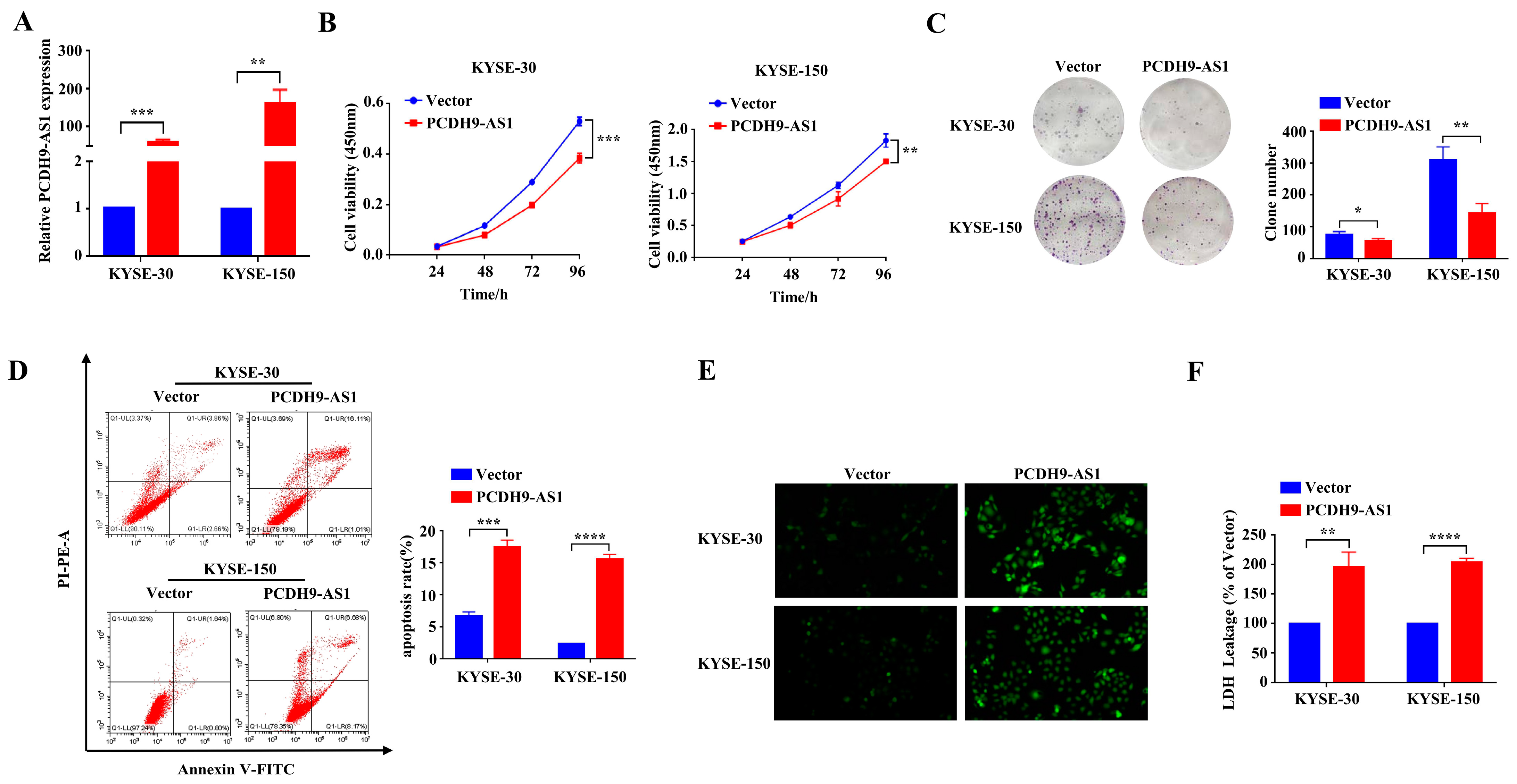 Cancers 15 04399 g010