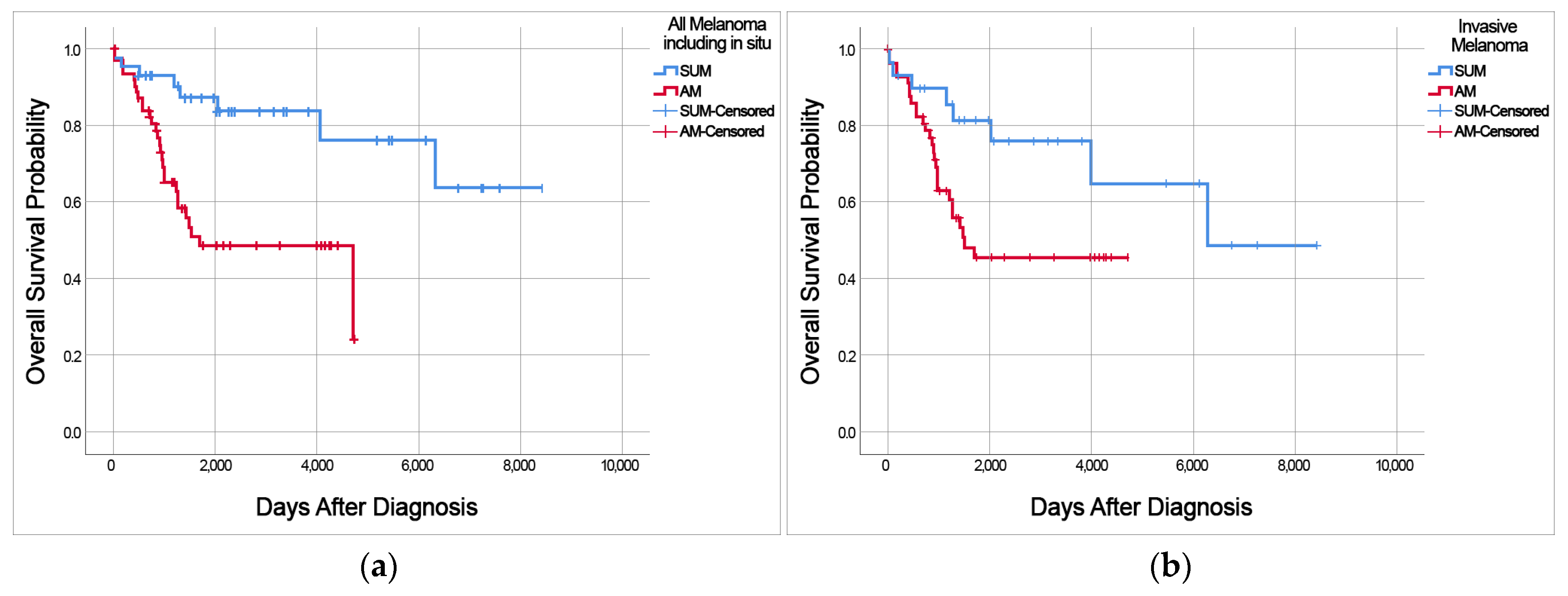 Cancers 15 04417 g001