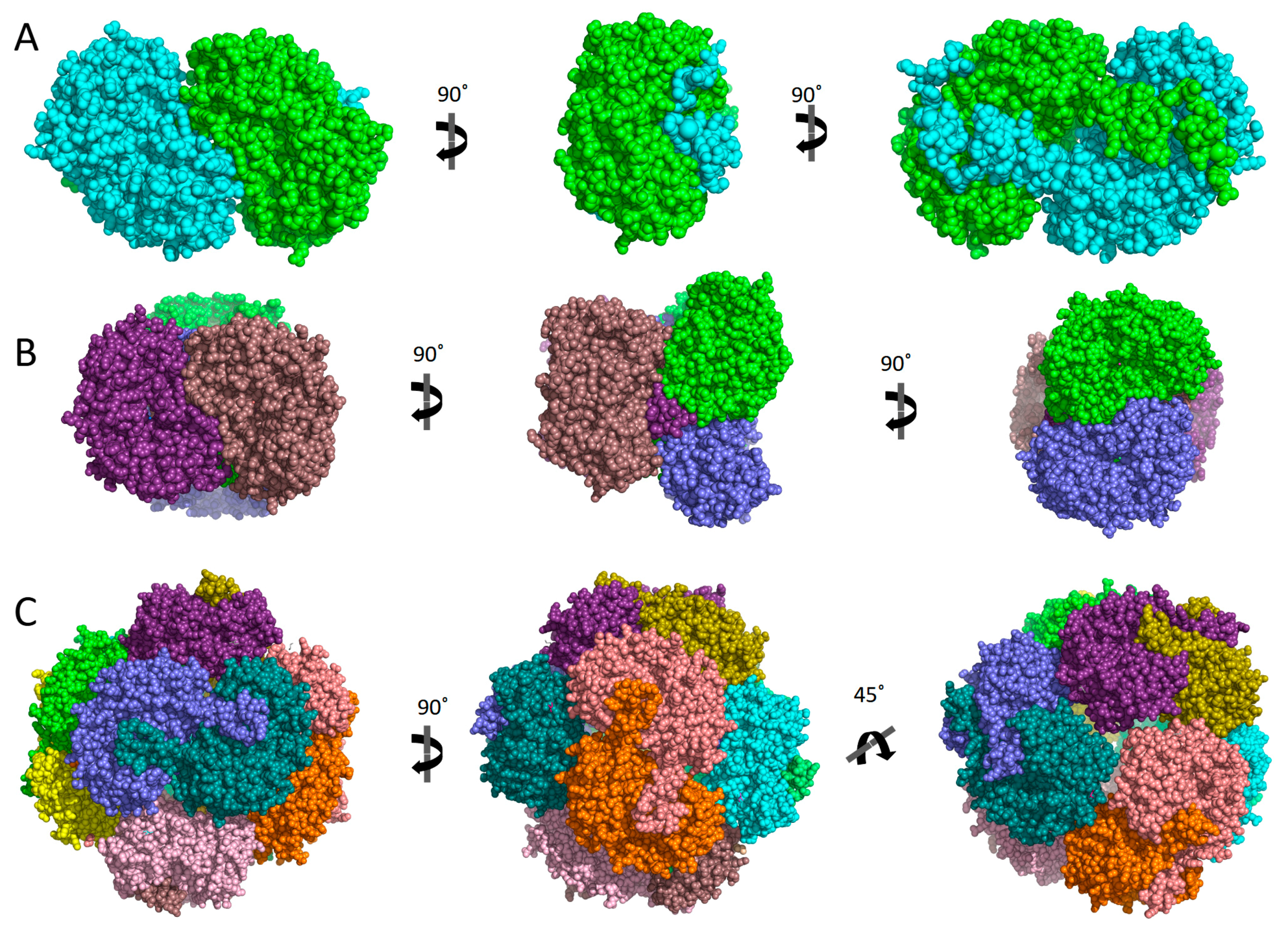 Cancers 15 04419 g006