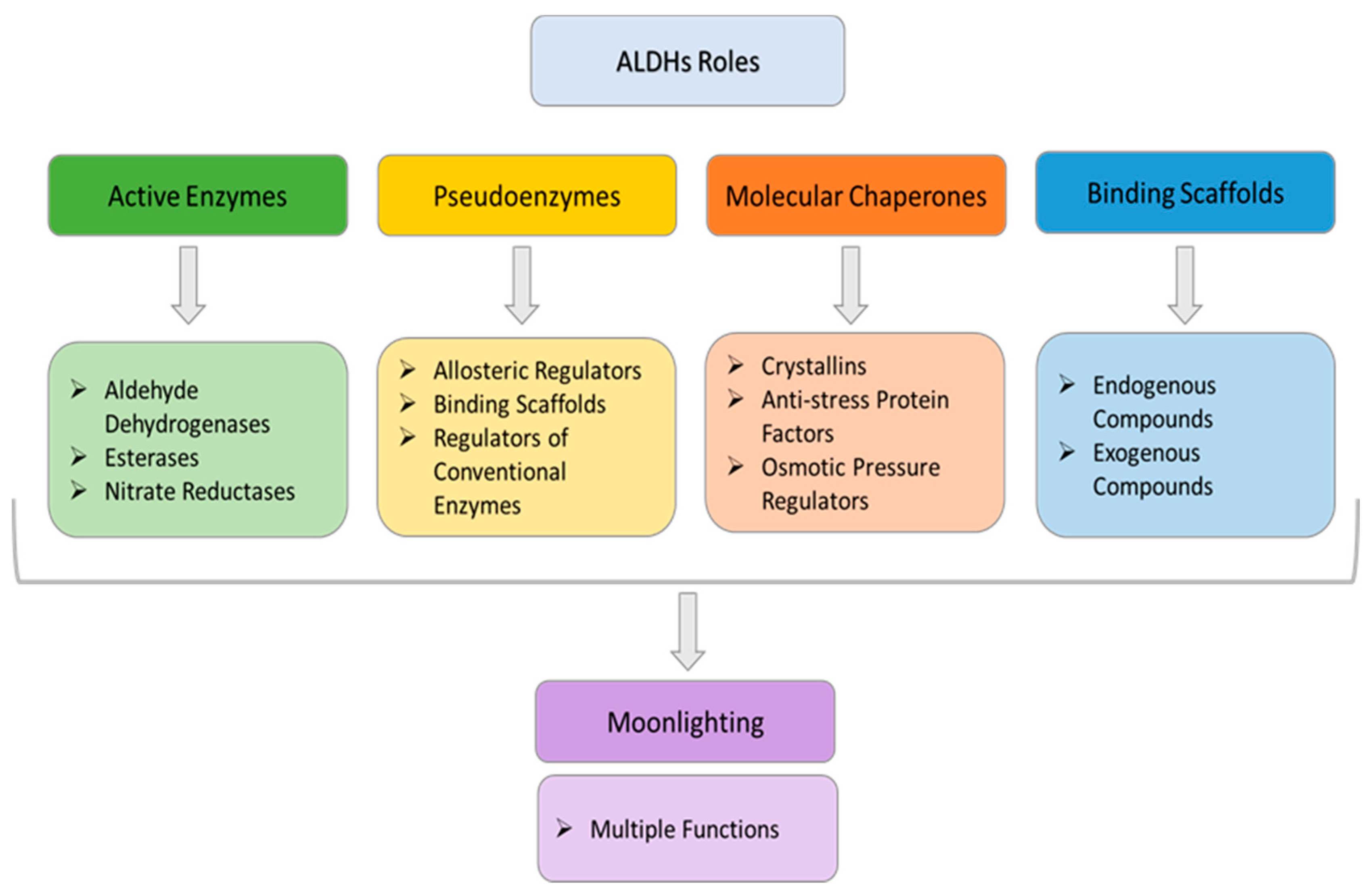 Cancers 15 04419 g007