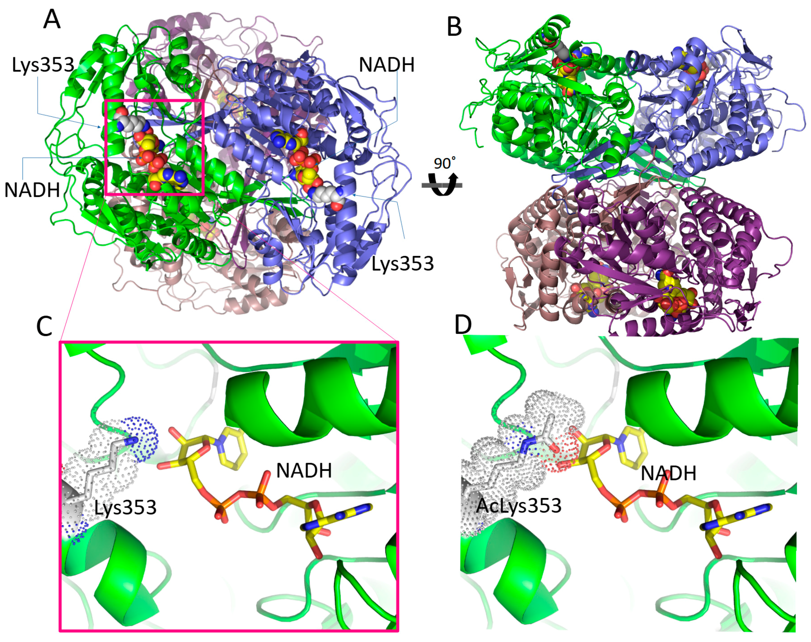 Cancers 15 04419 g008