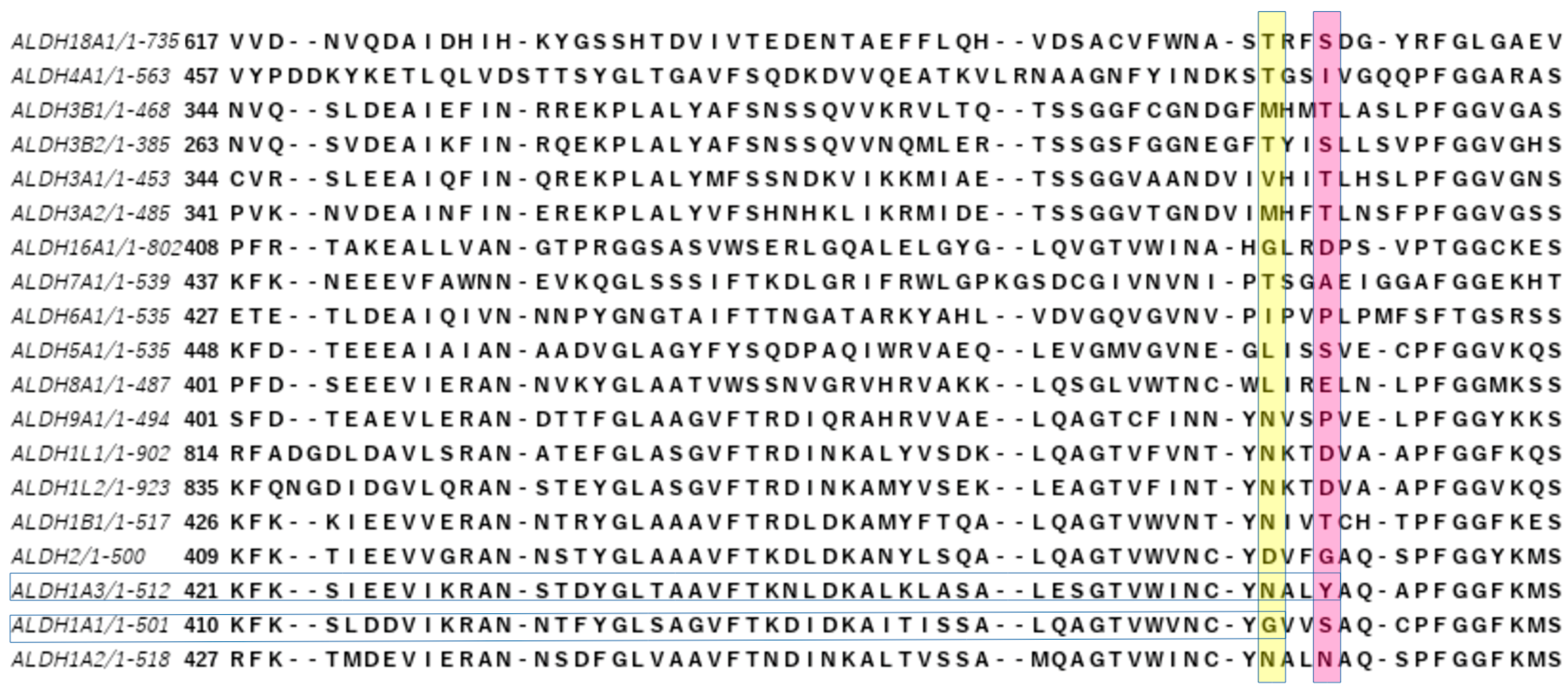 Cancers 15 04419 g011