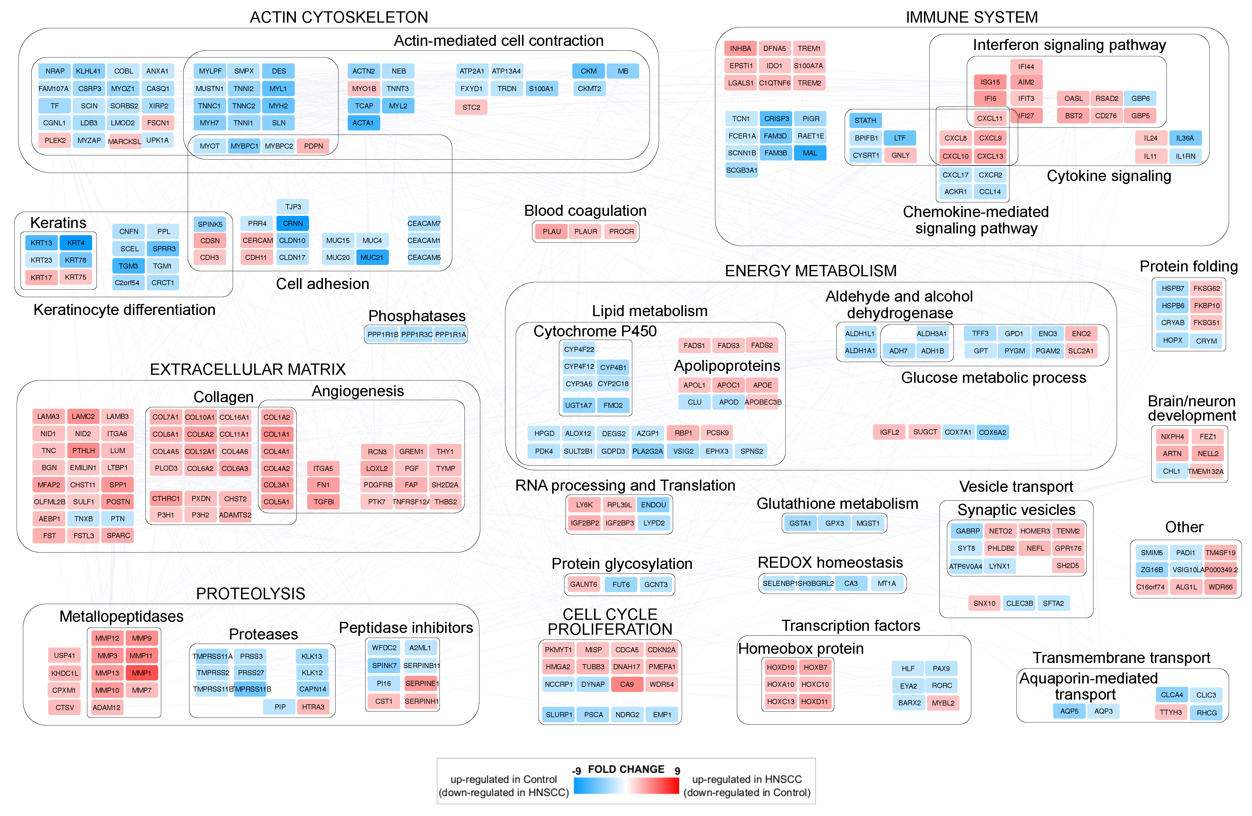 Cancers 15 04420 g001