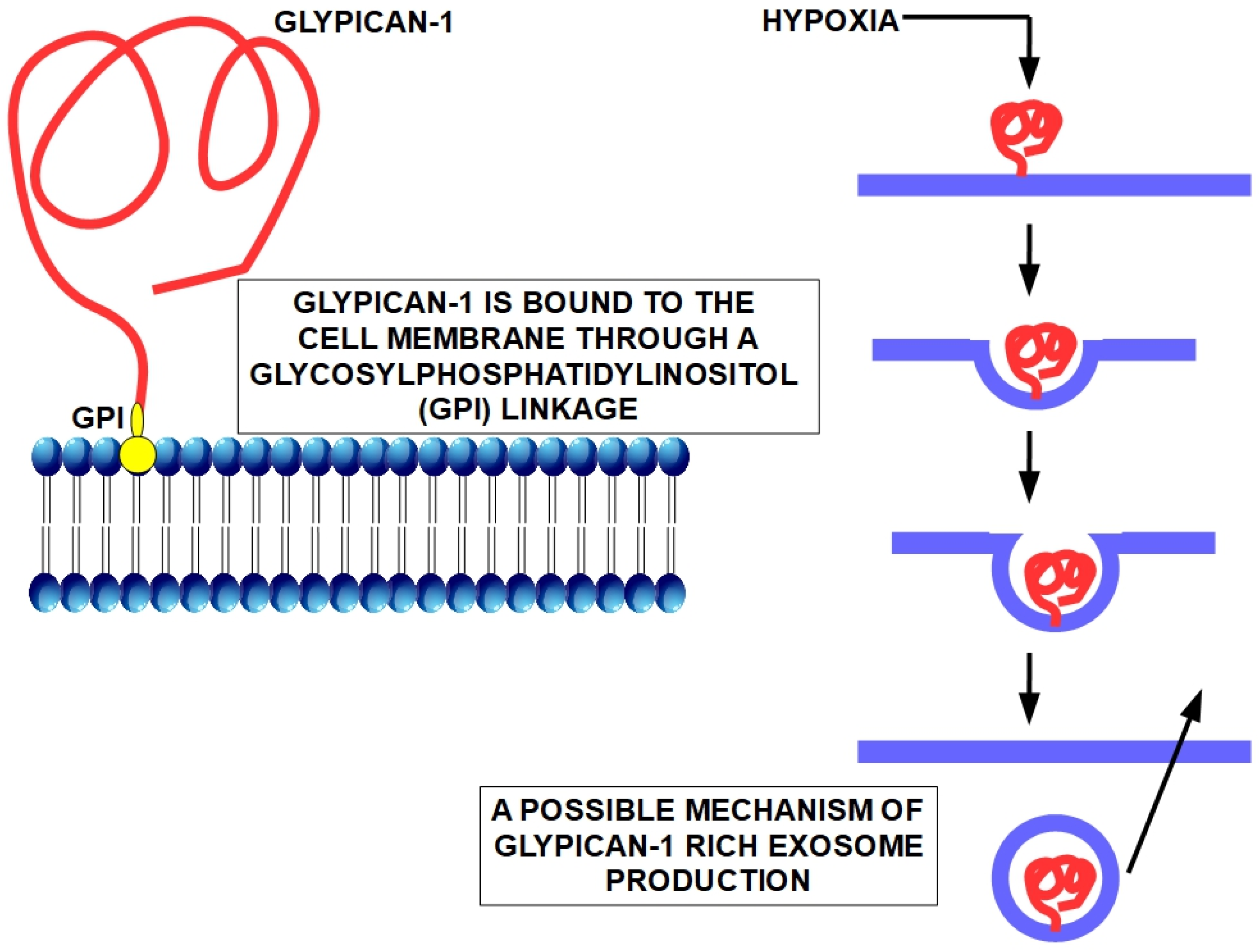 Cancers 15 04430 g002