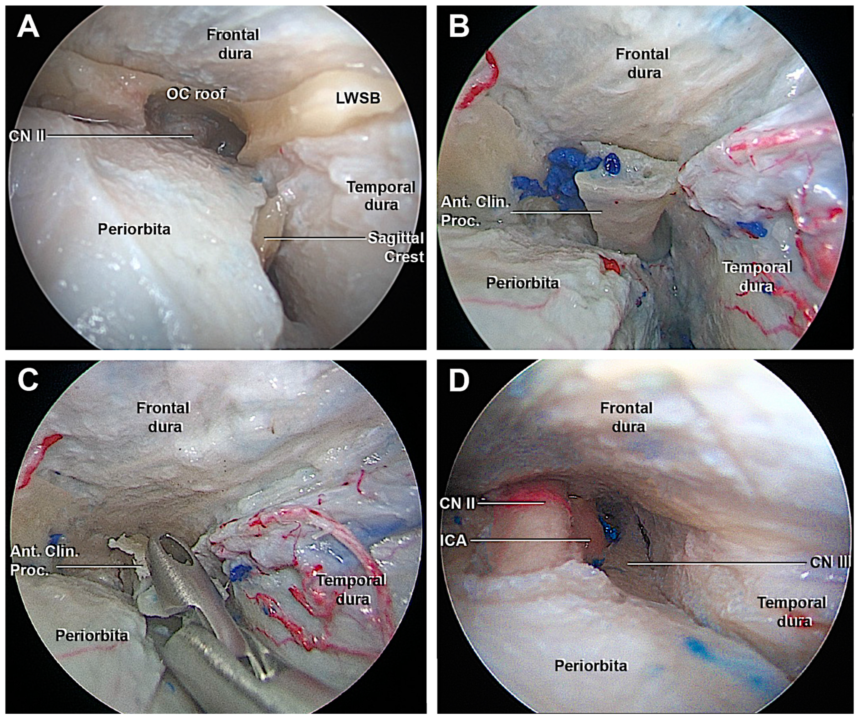 Cancers 15 04435 g007