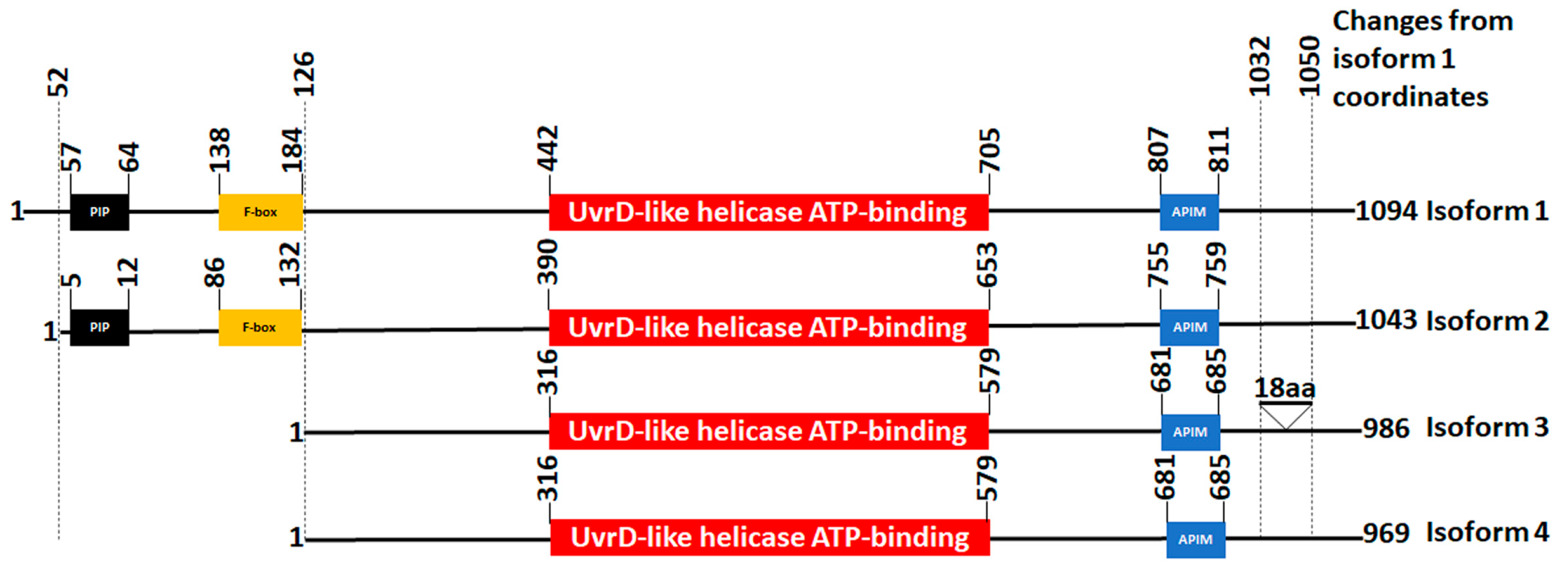 Cancers 15 04439 g002