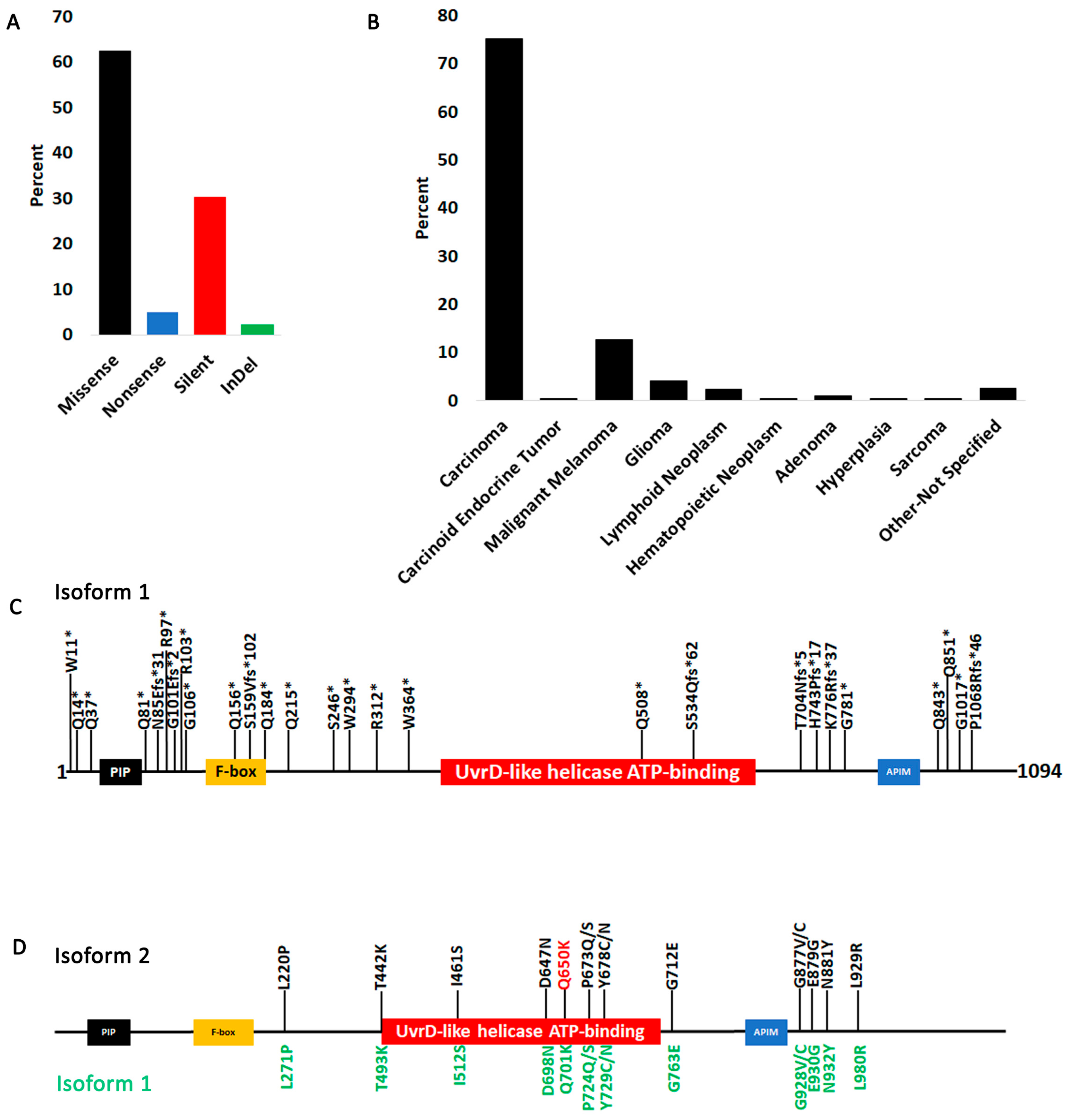 Cancers 15 04439 g003