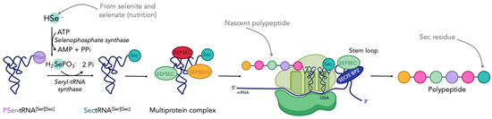 Cancers 15 04448 g001