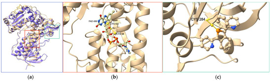 Cancers 15 04448 g004