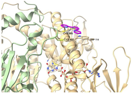 Cancers 15 04448 g005