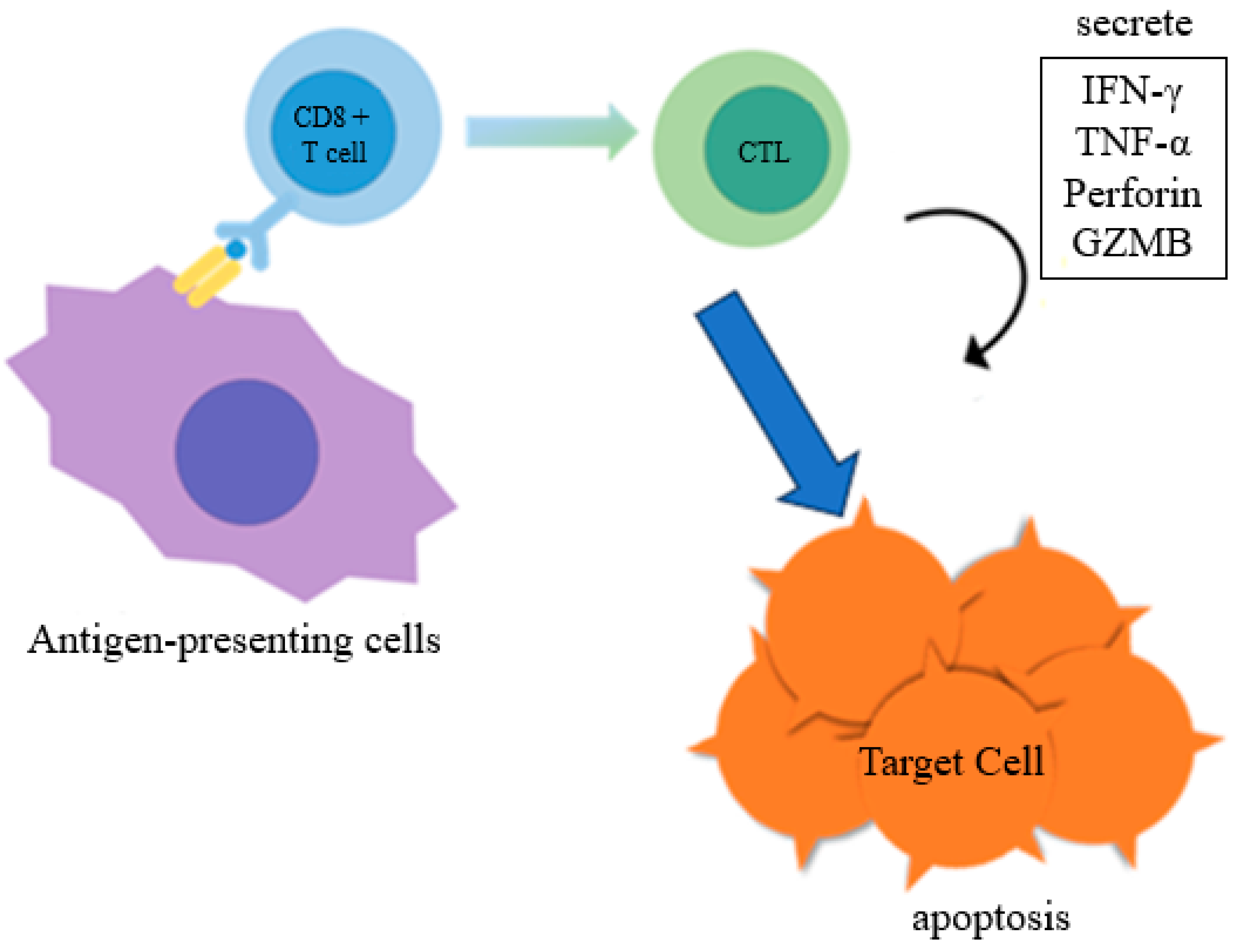 Cancers 15 04456 g001