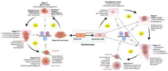Cancers 15 04463 g003