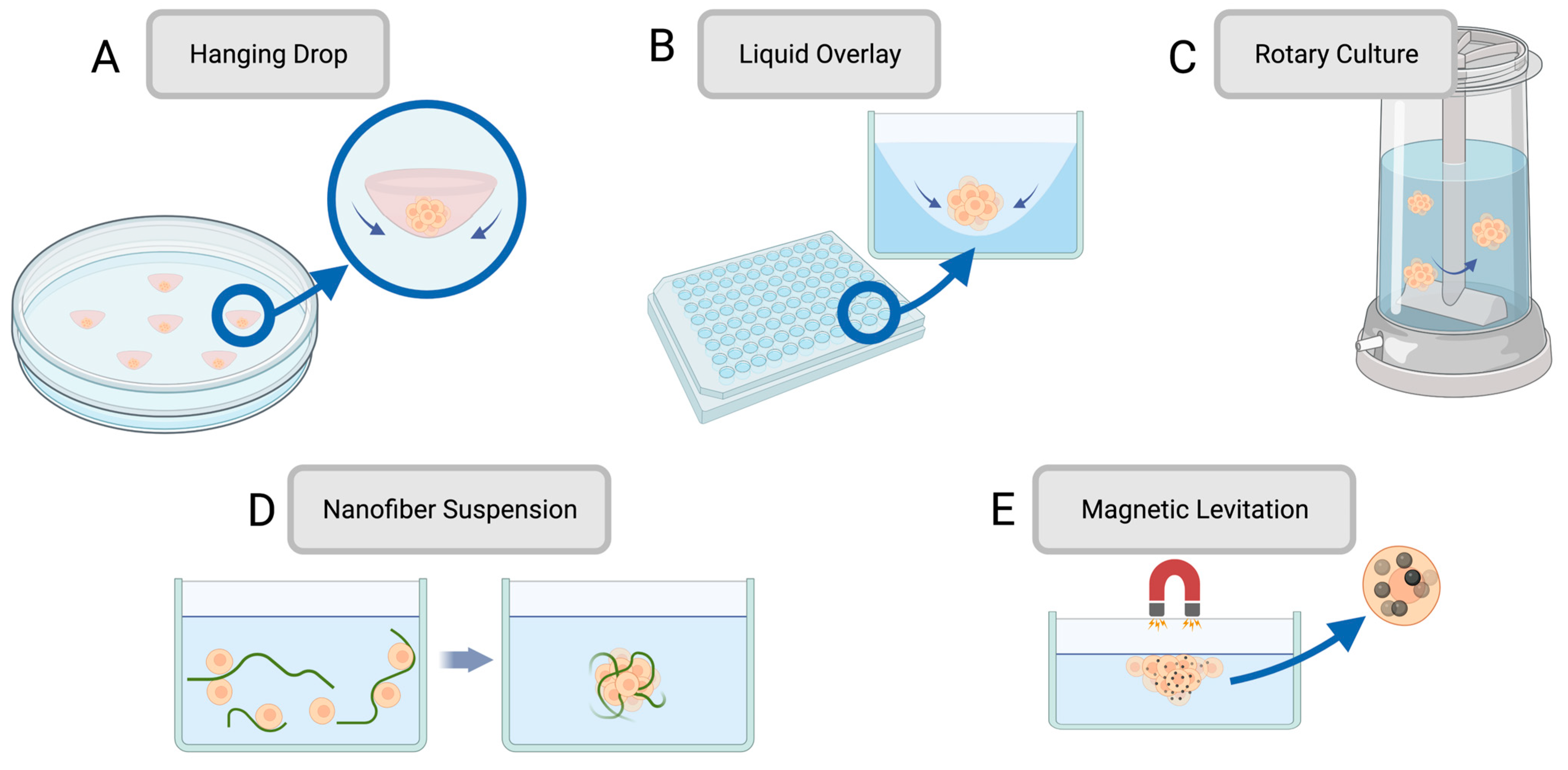 Cancers 15 04466 g001