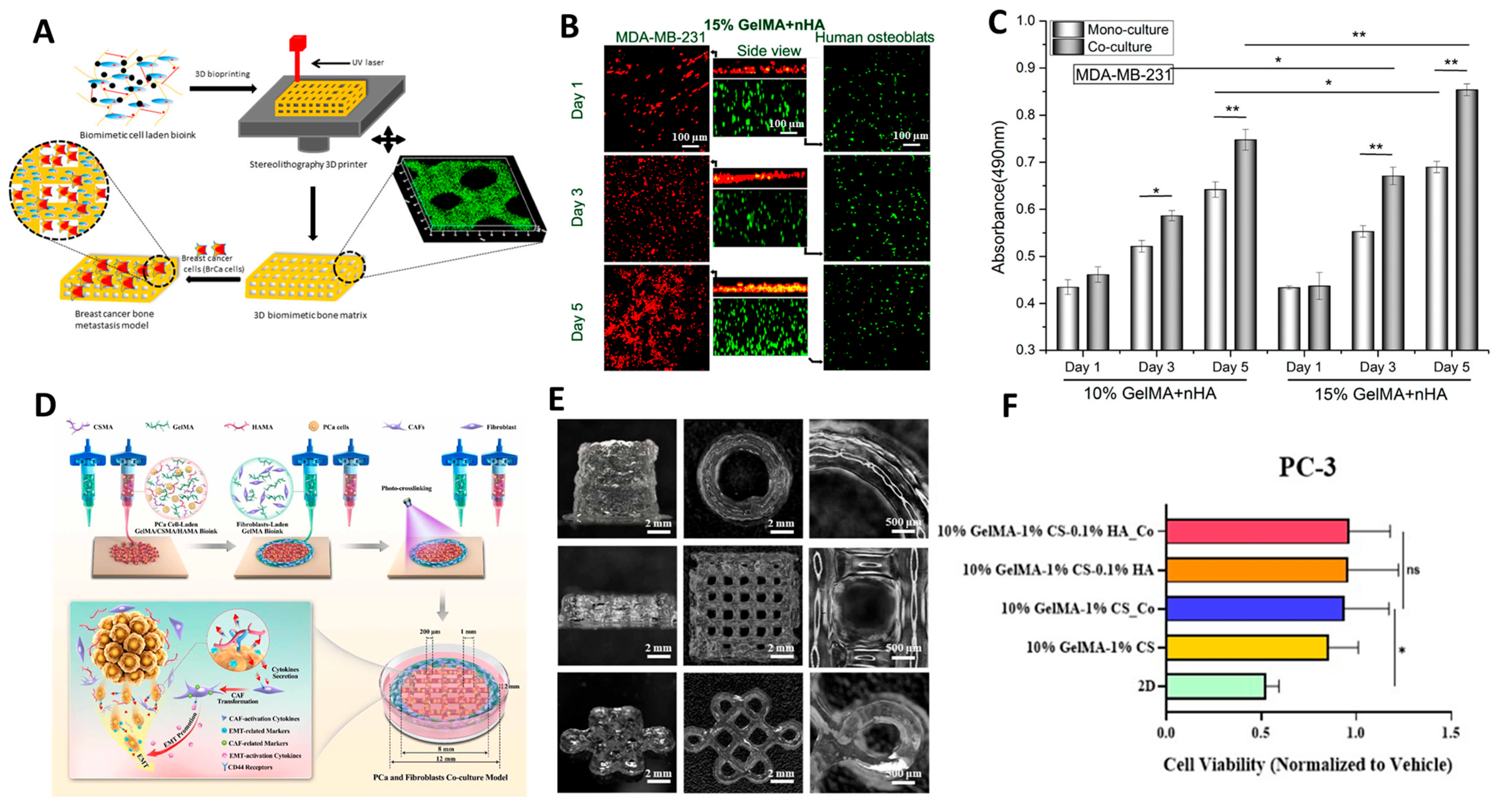Cancers 15 04466 g003
