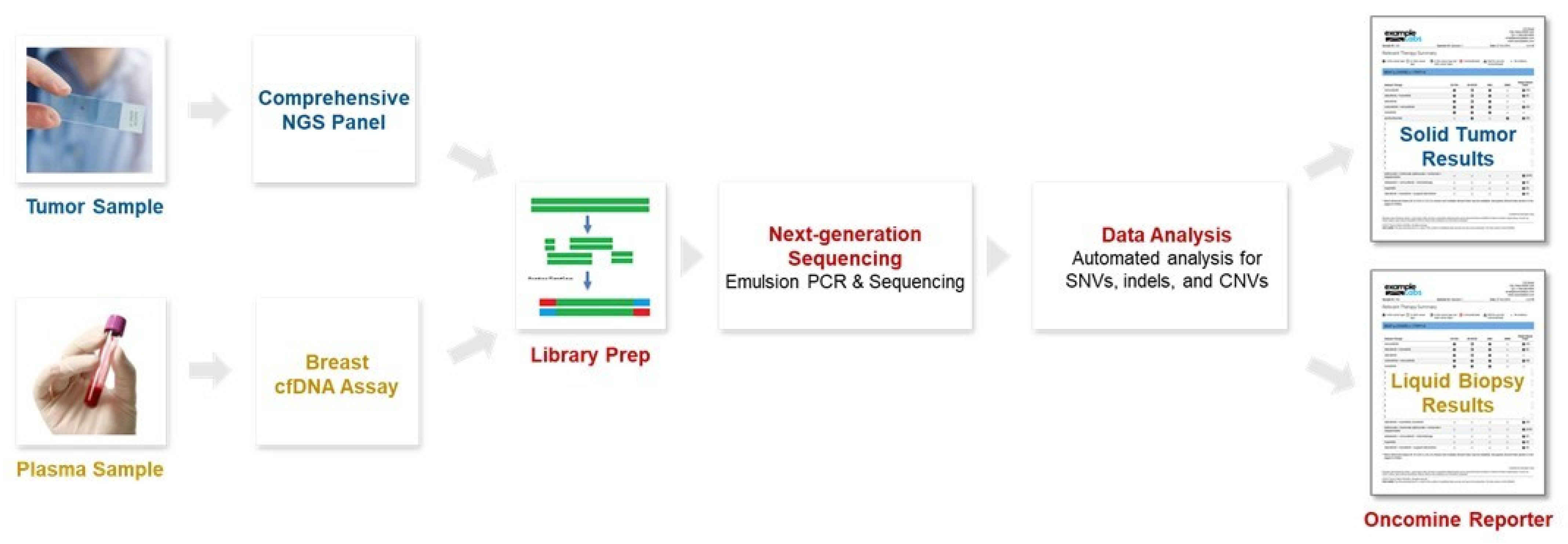 Cancers 15 04475 g001