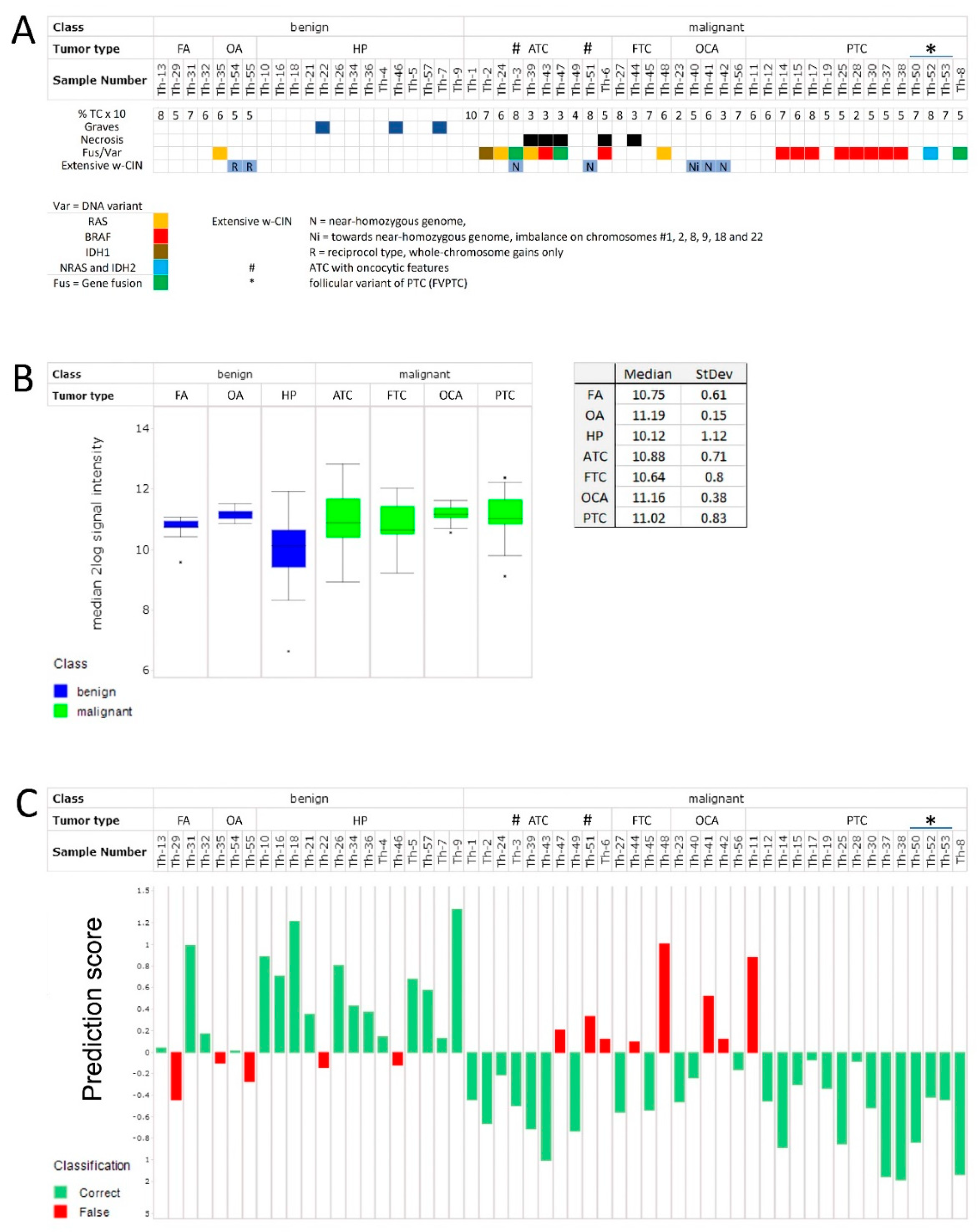 Cancers 15 04477 g001