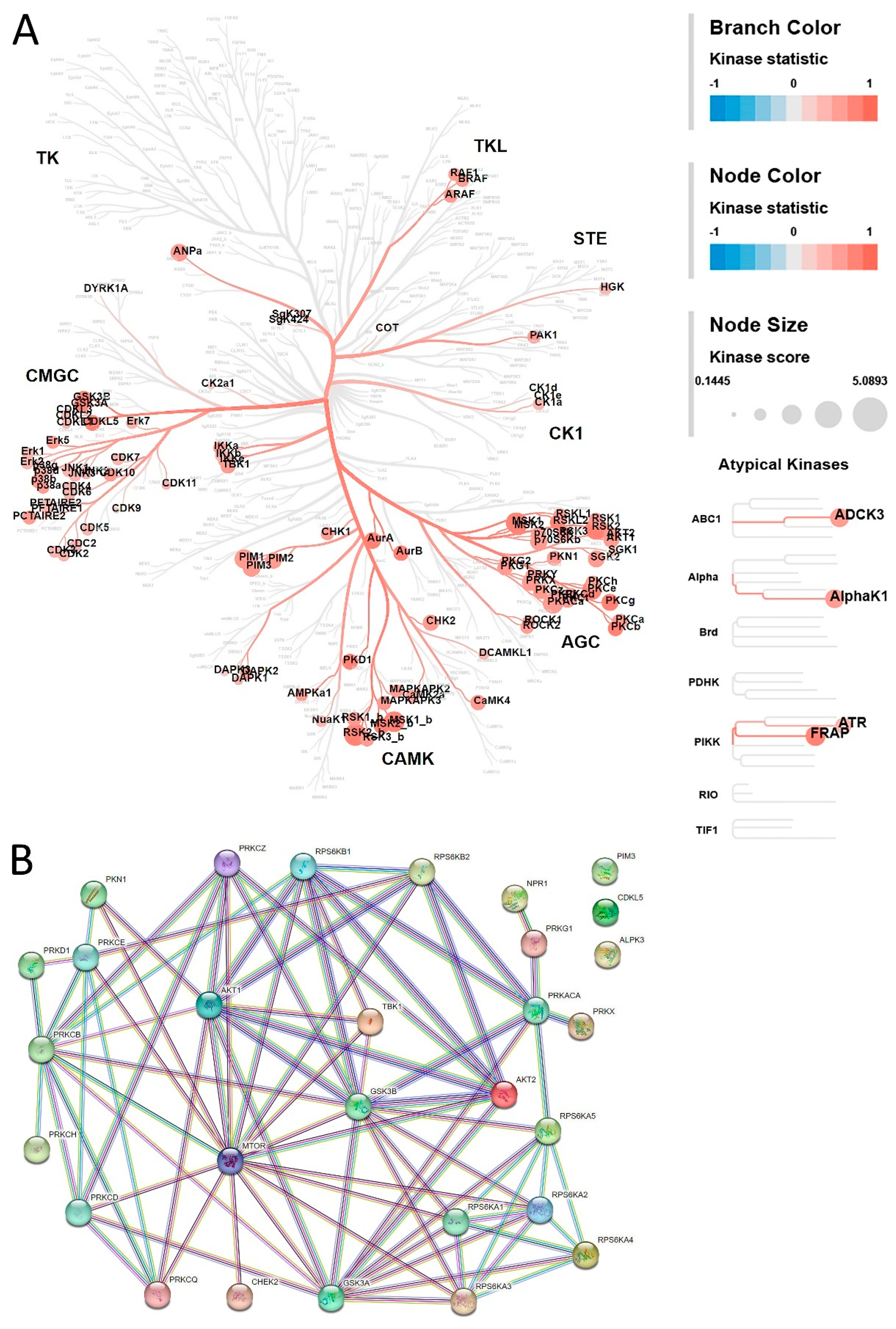 Cancers 15 04477 g002