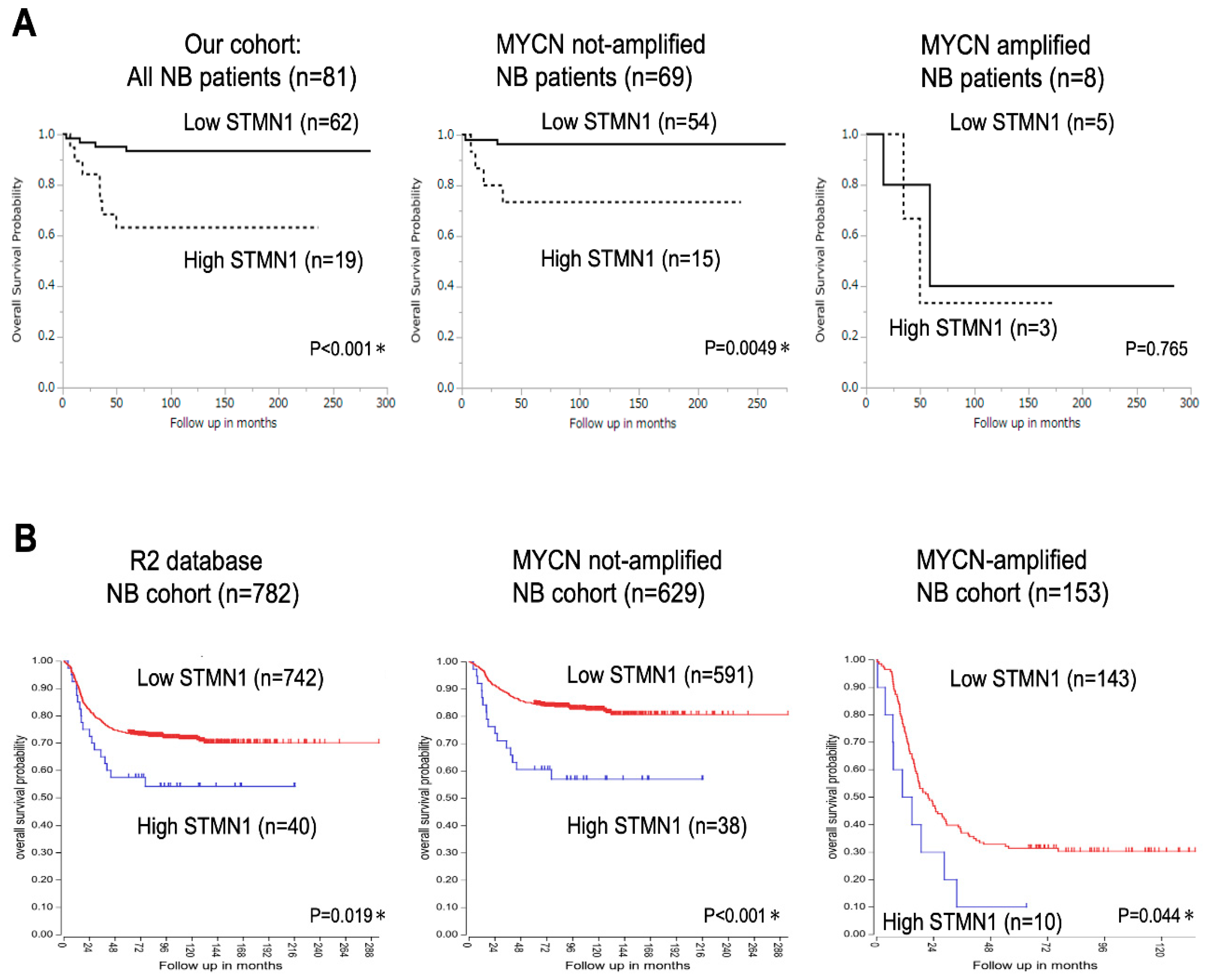 Cancers 15 04482 g002