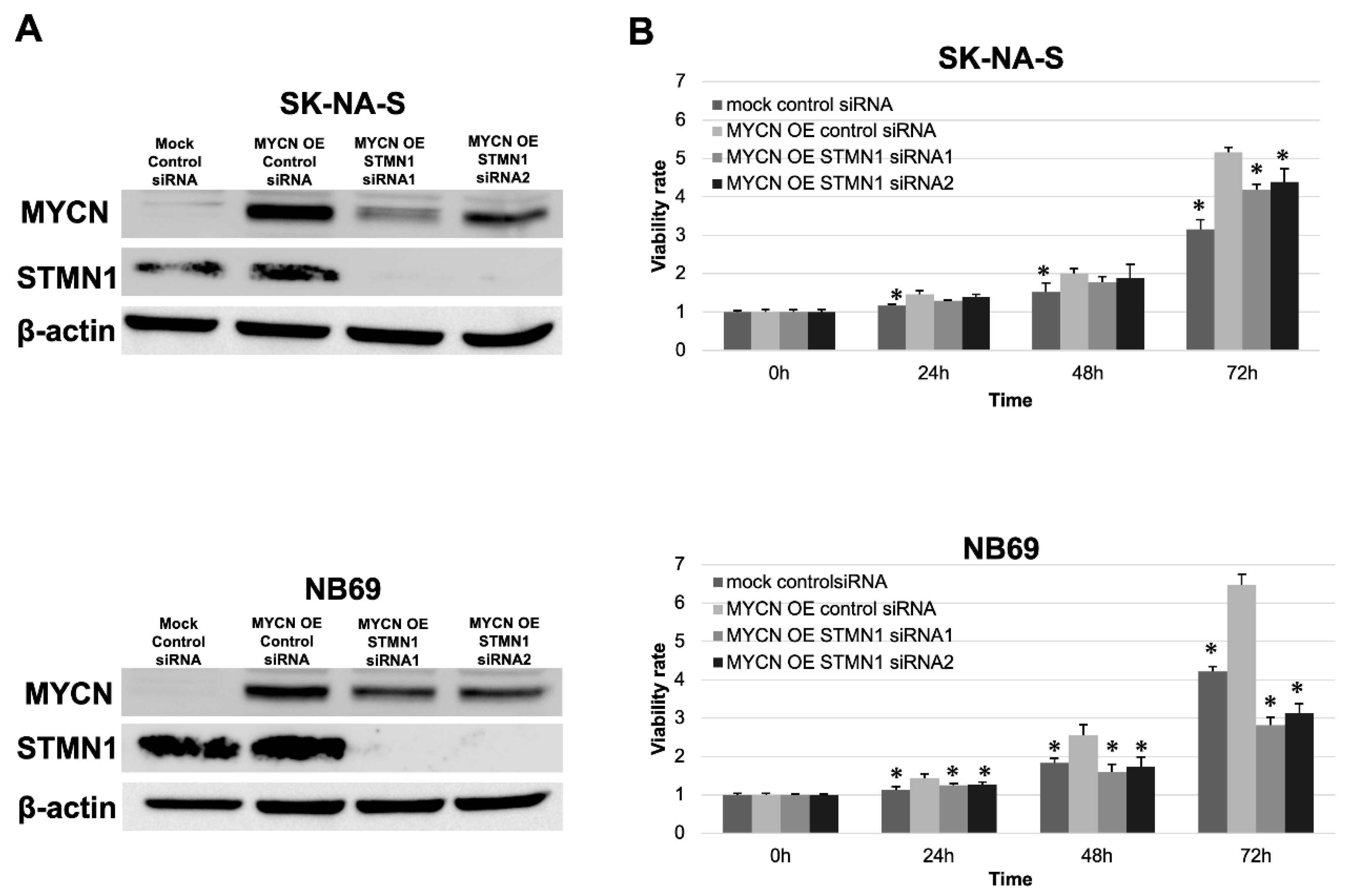 Cancers 15 04482 g004