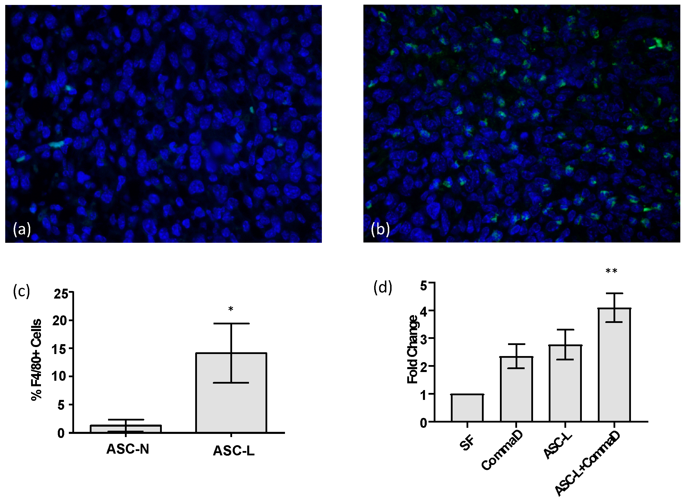 Cancers 15 04500 g001
