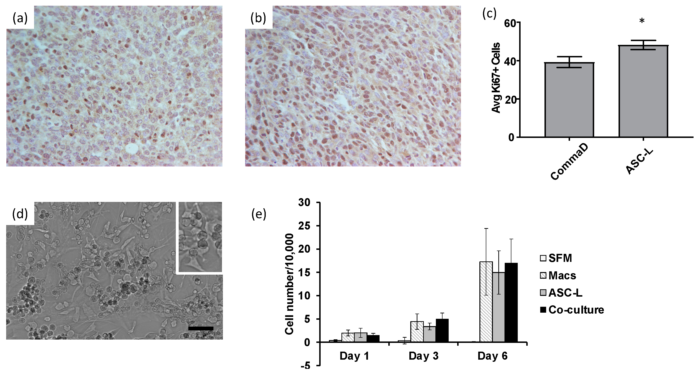 Cancers 15 04500 g002