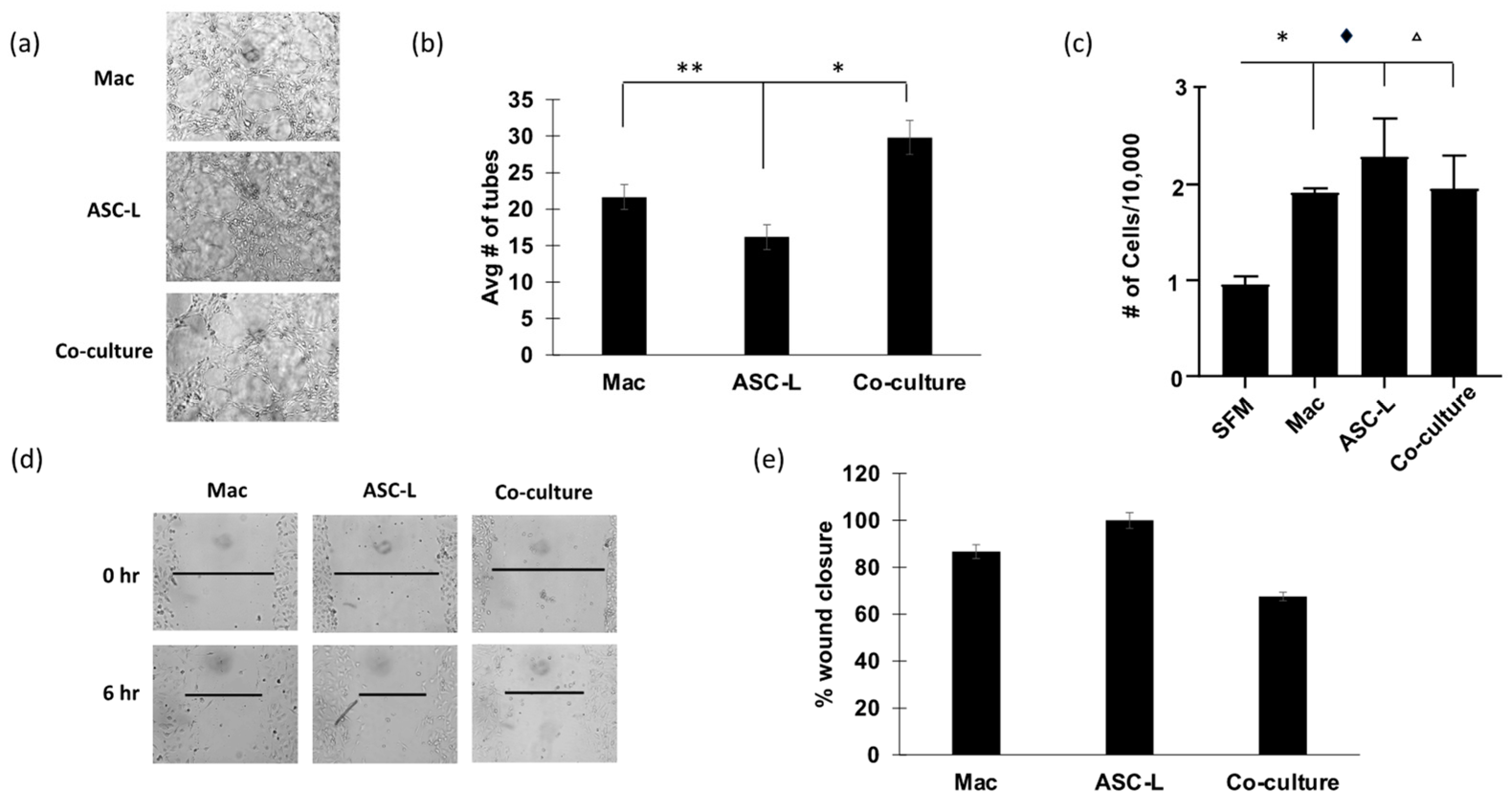 Cancers 15 04500 g003