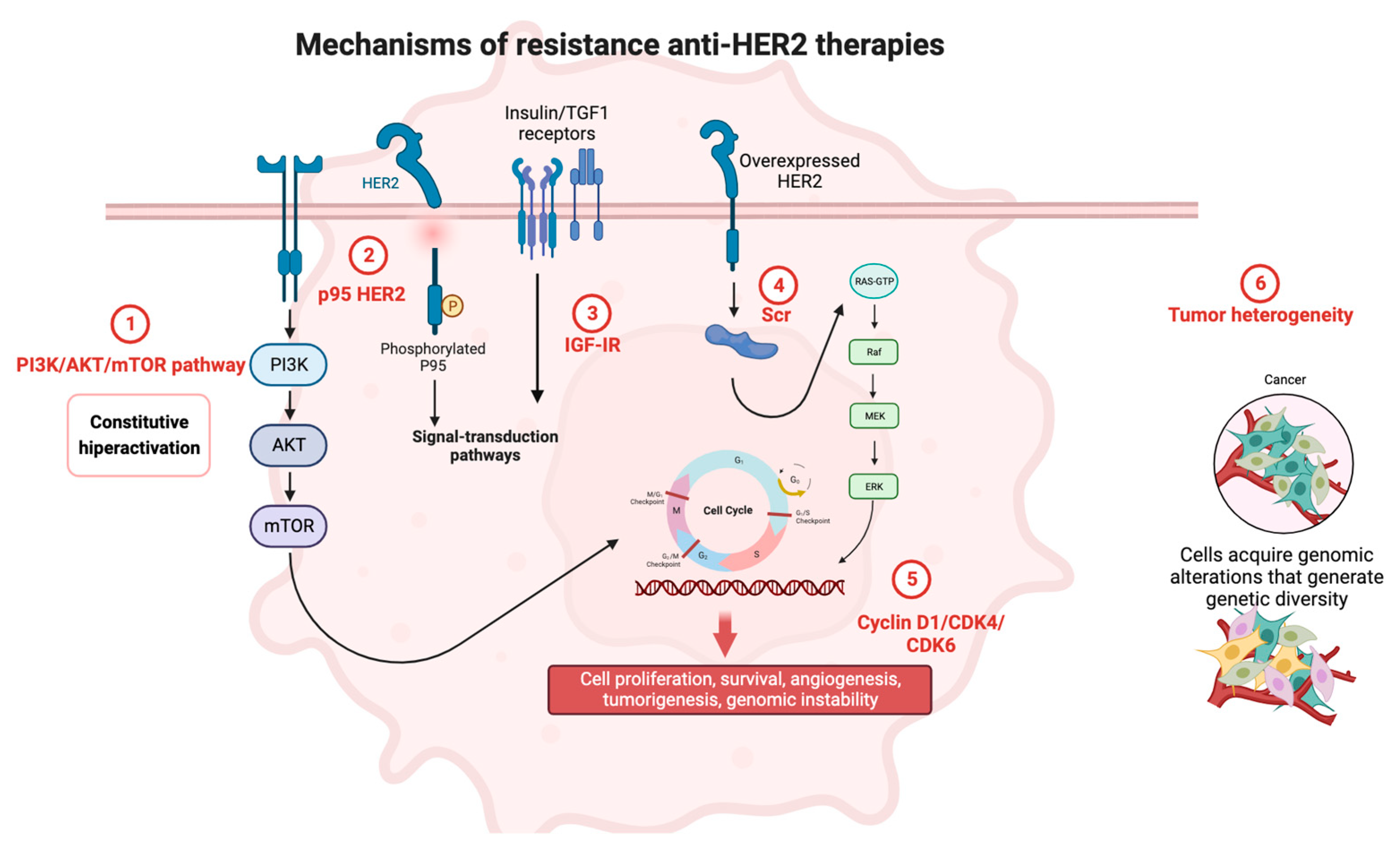 Cancers 15 04522 g001 Cancers 15 04522 g001