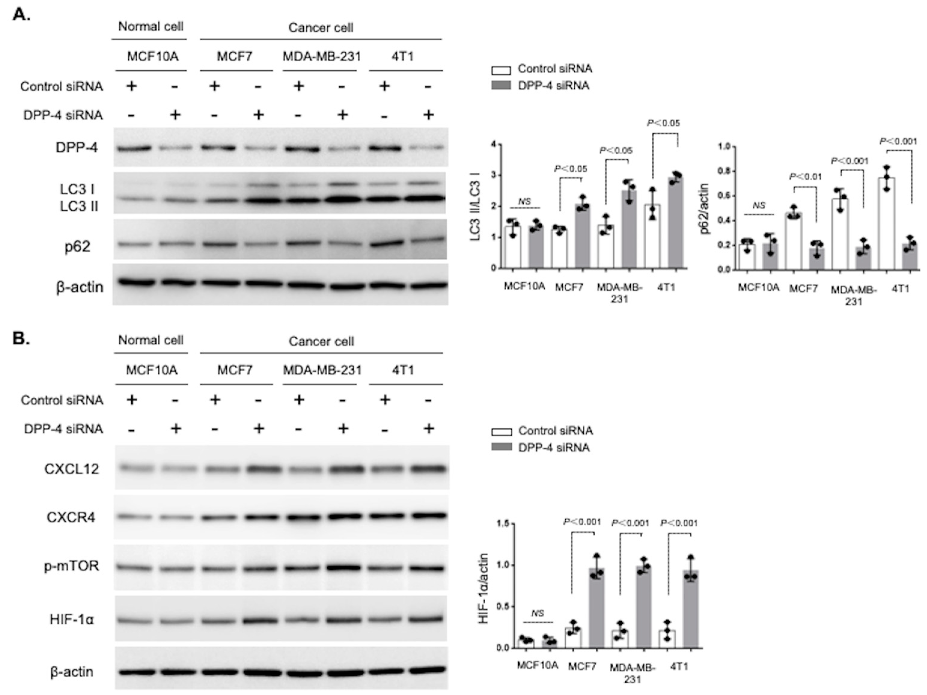 Cancers 15 04529 g001