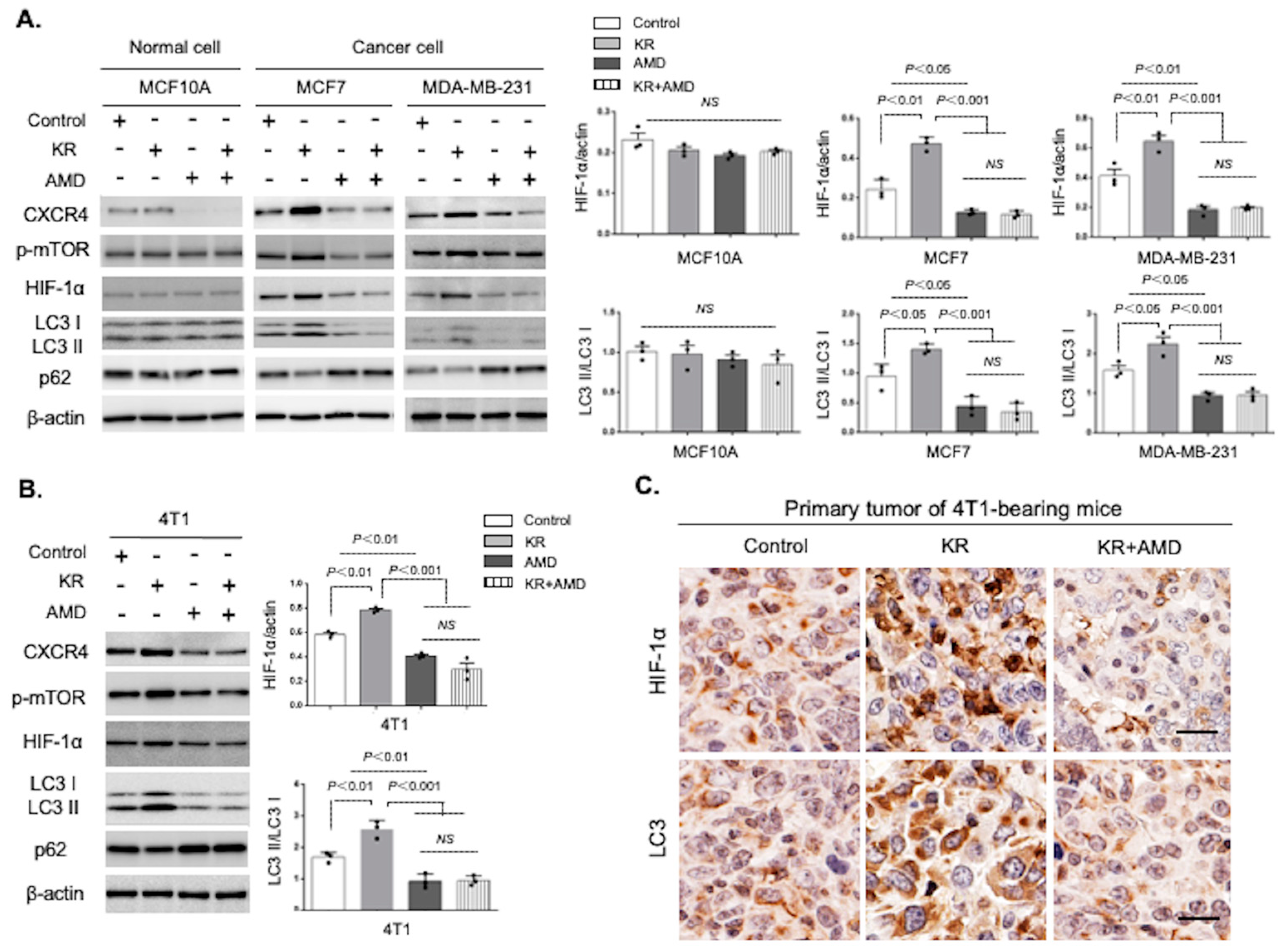 Cancers 15 04529 g002
