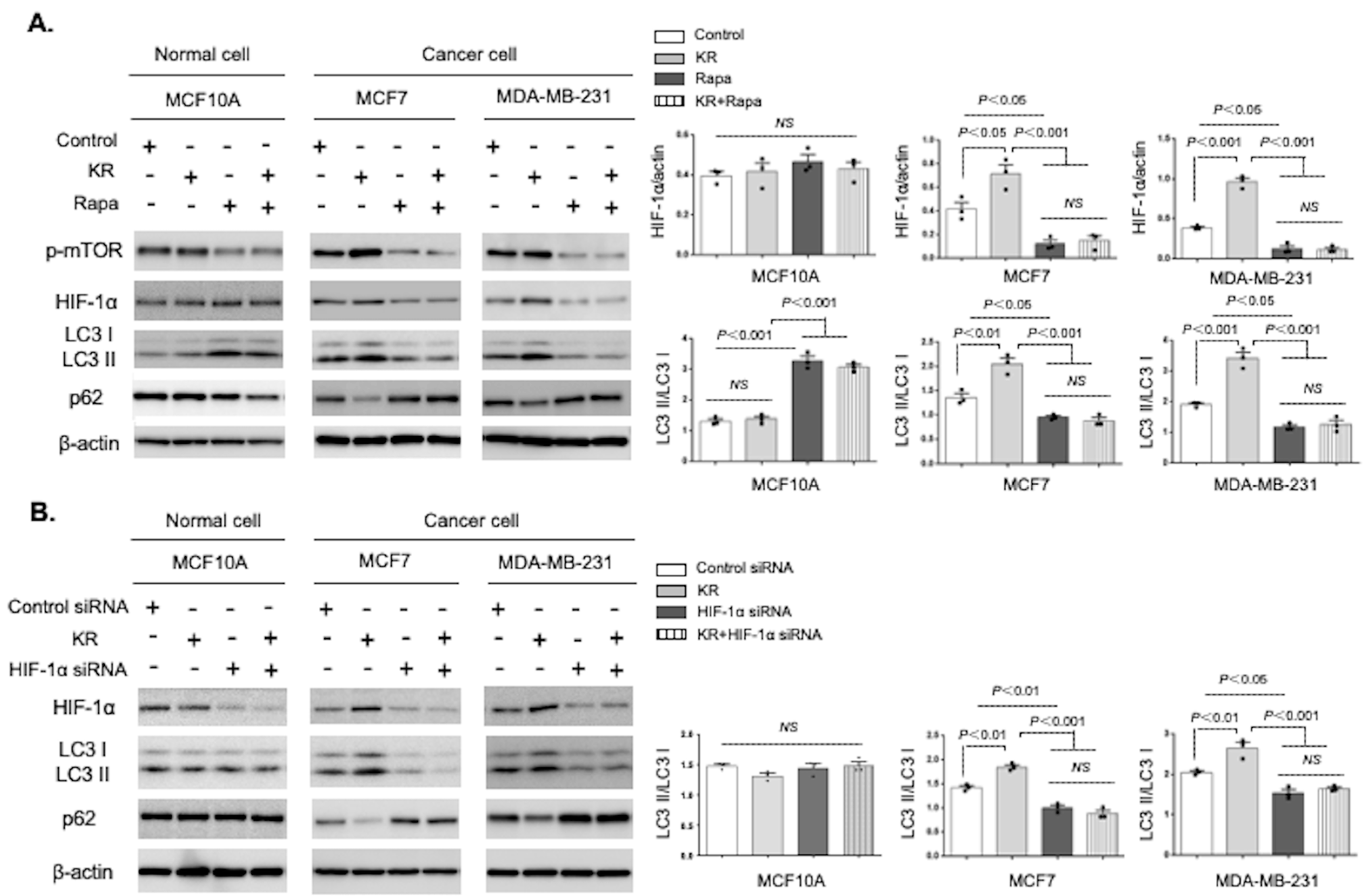 Cancers 15 04529 g003