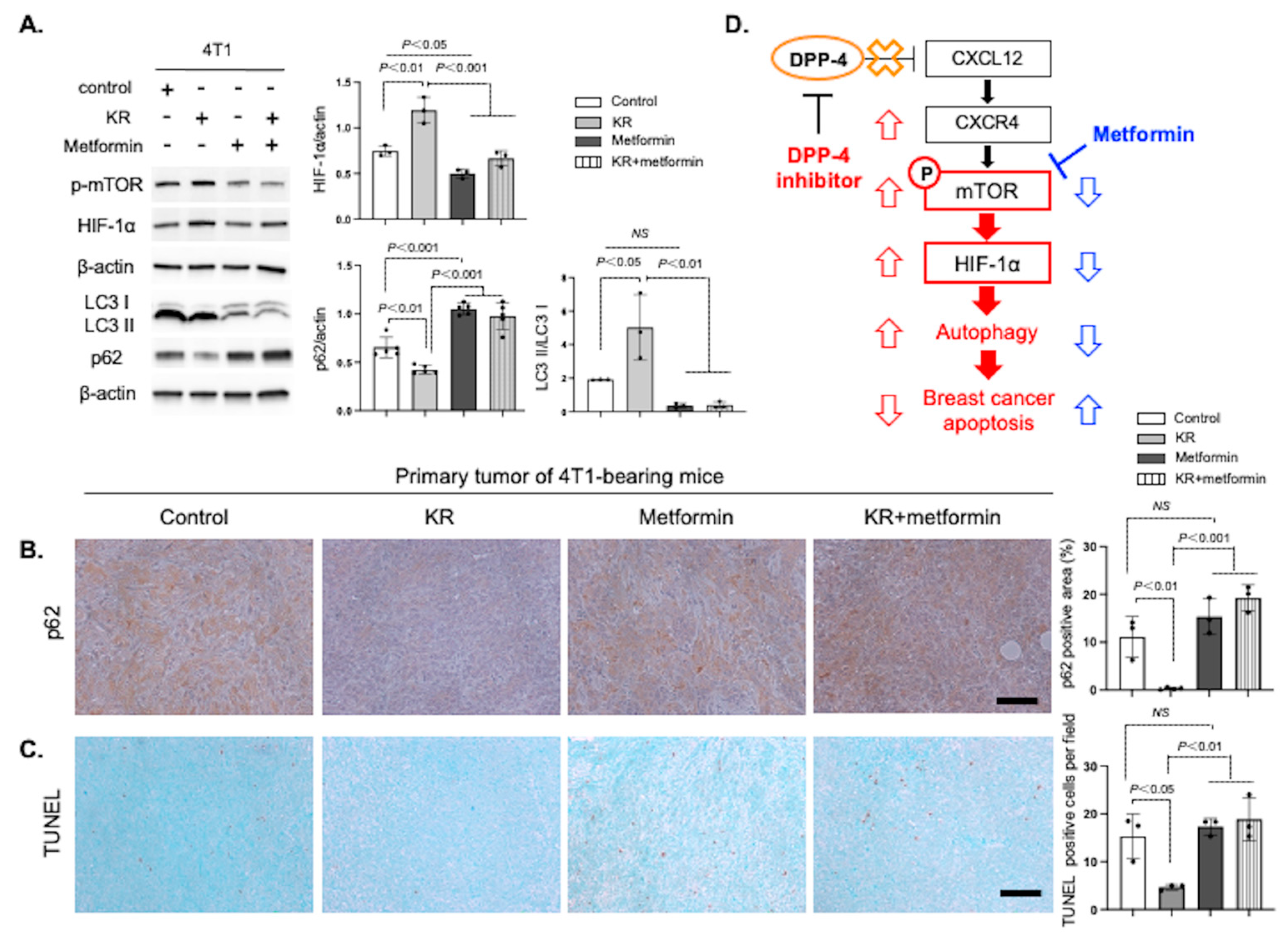 Cancers 15 04529 g005