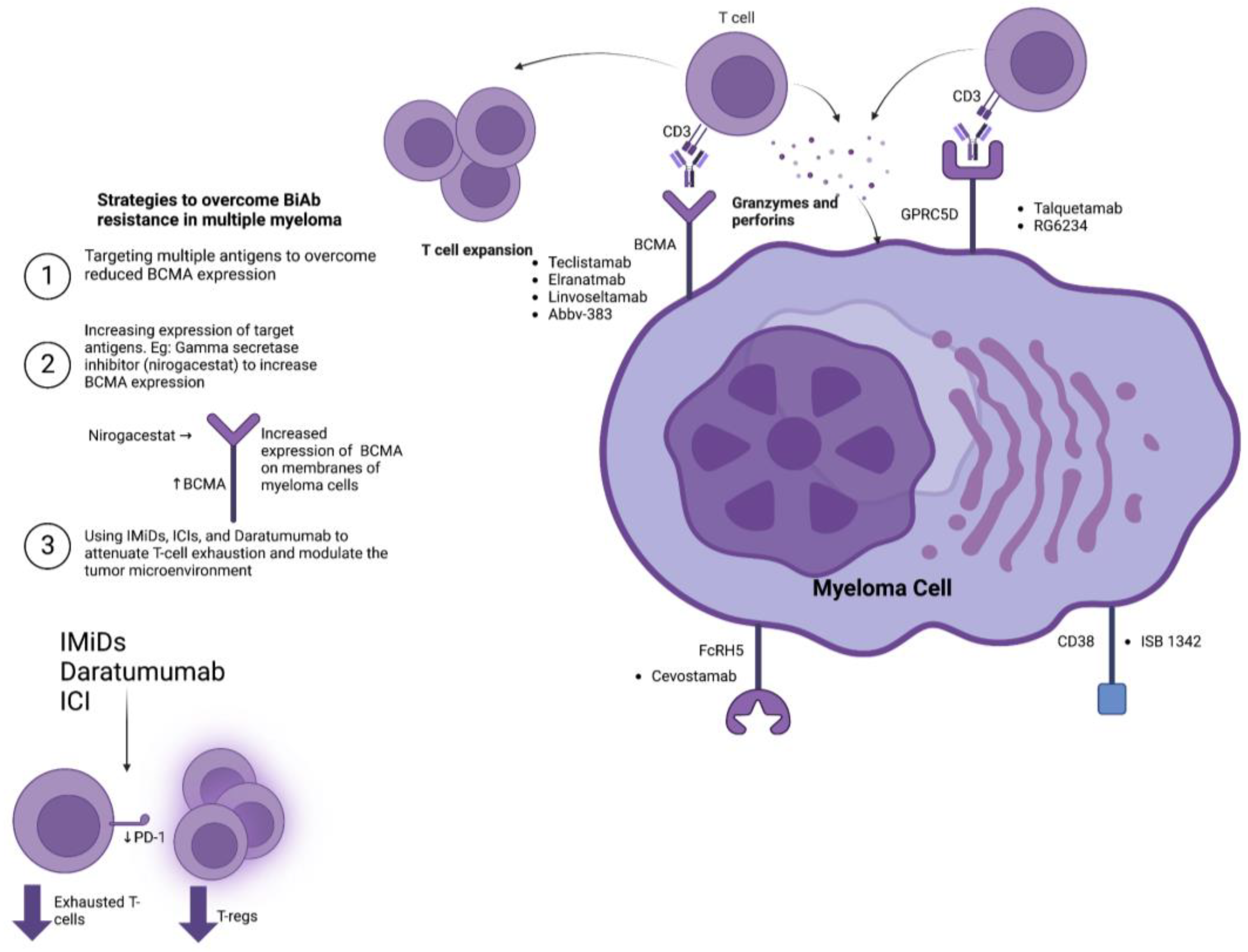 Cancers 15 04550 g001