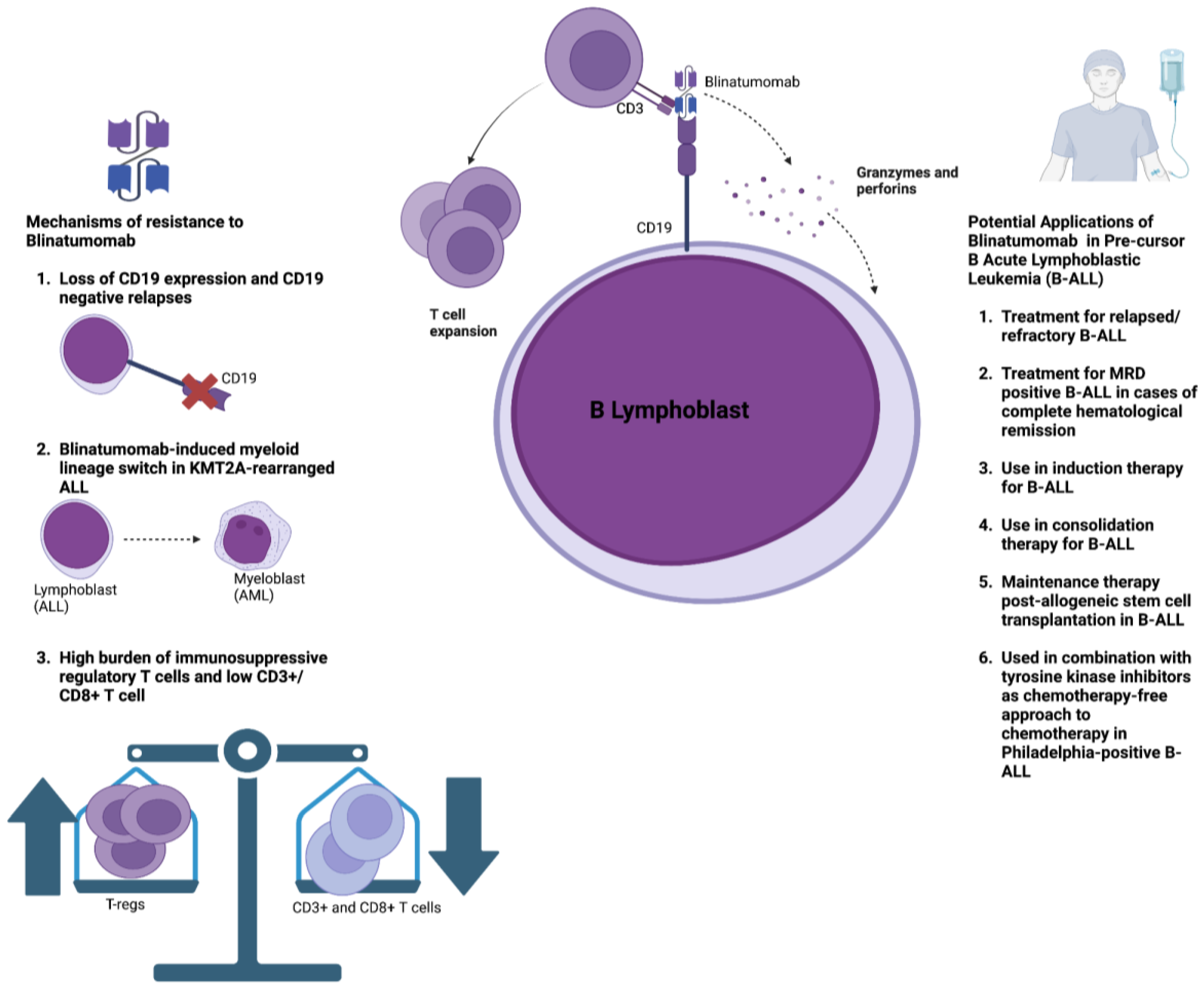 Cancers 15 04550 g002