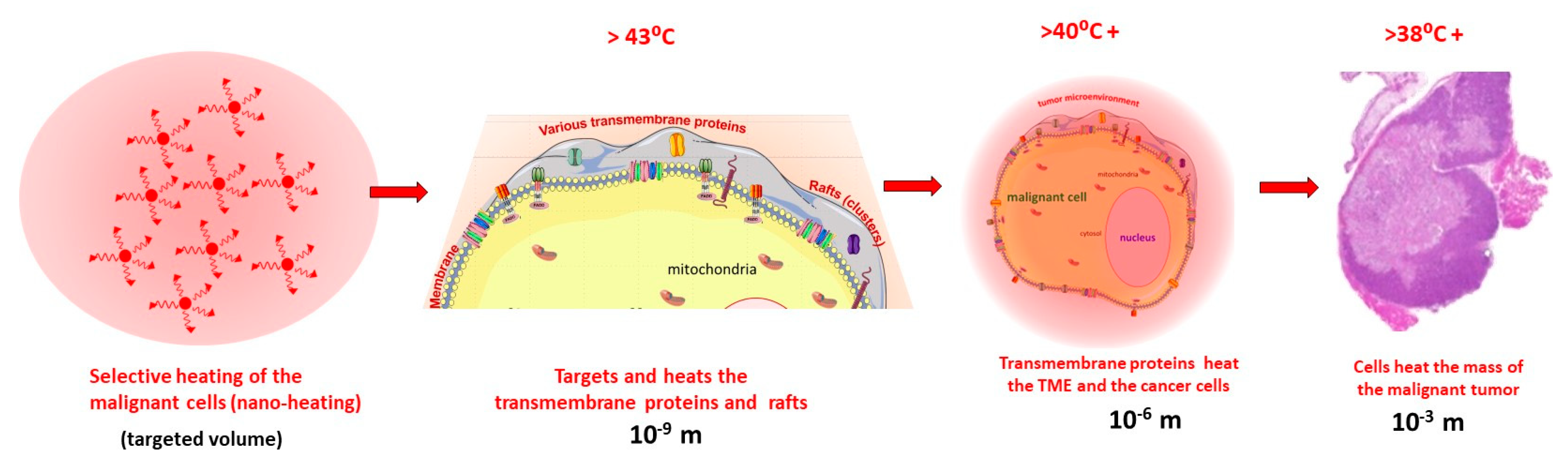 Cancers 15 04569 g011