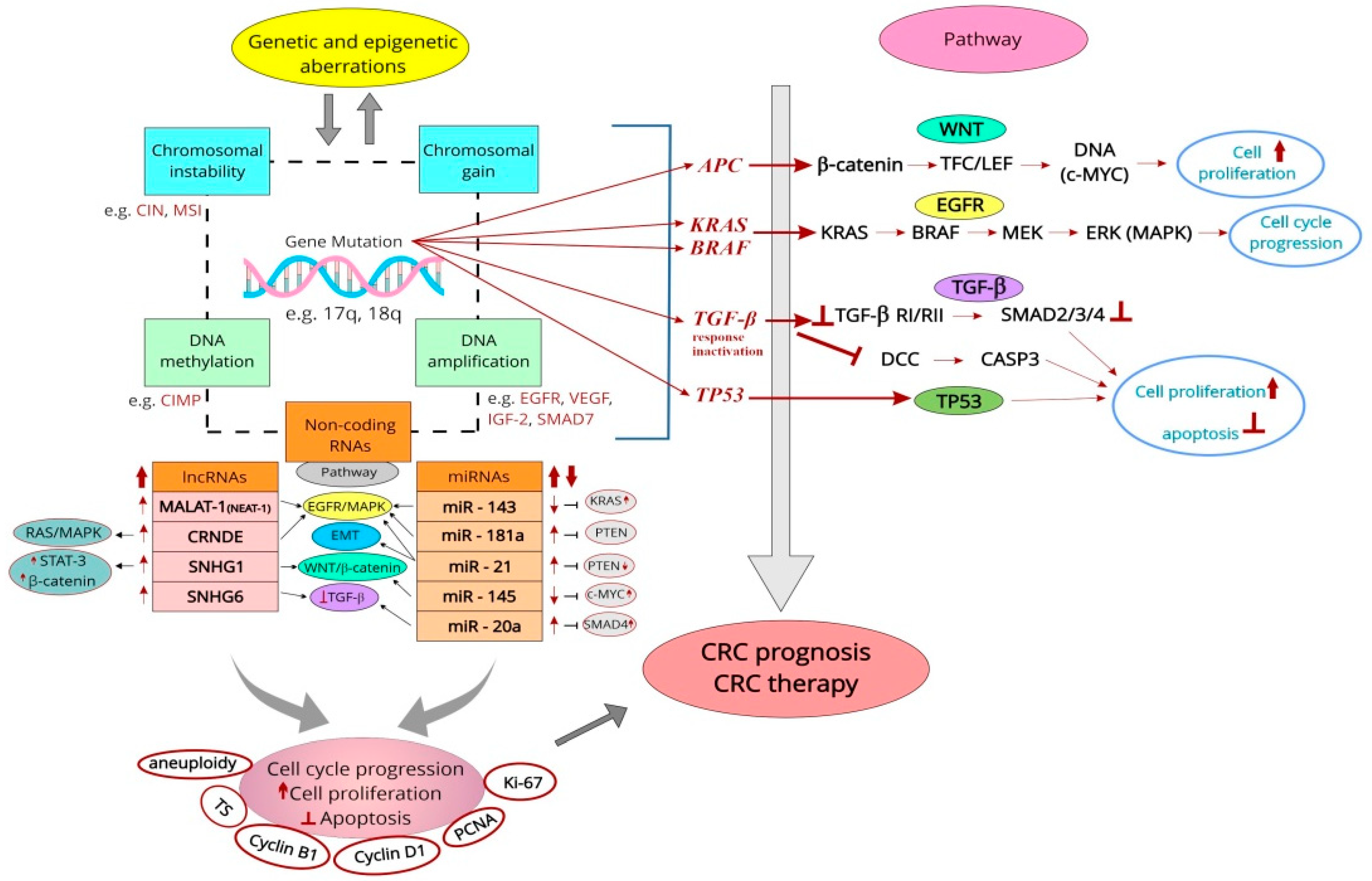 Cancers 15 04570 g001