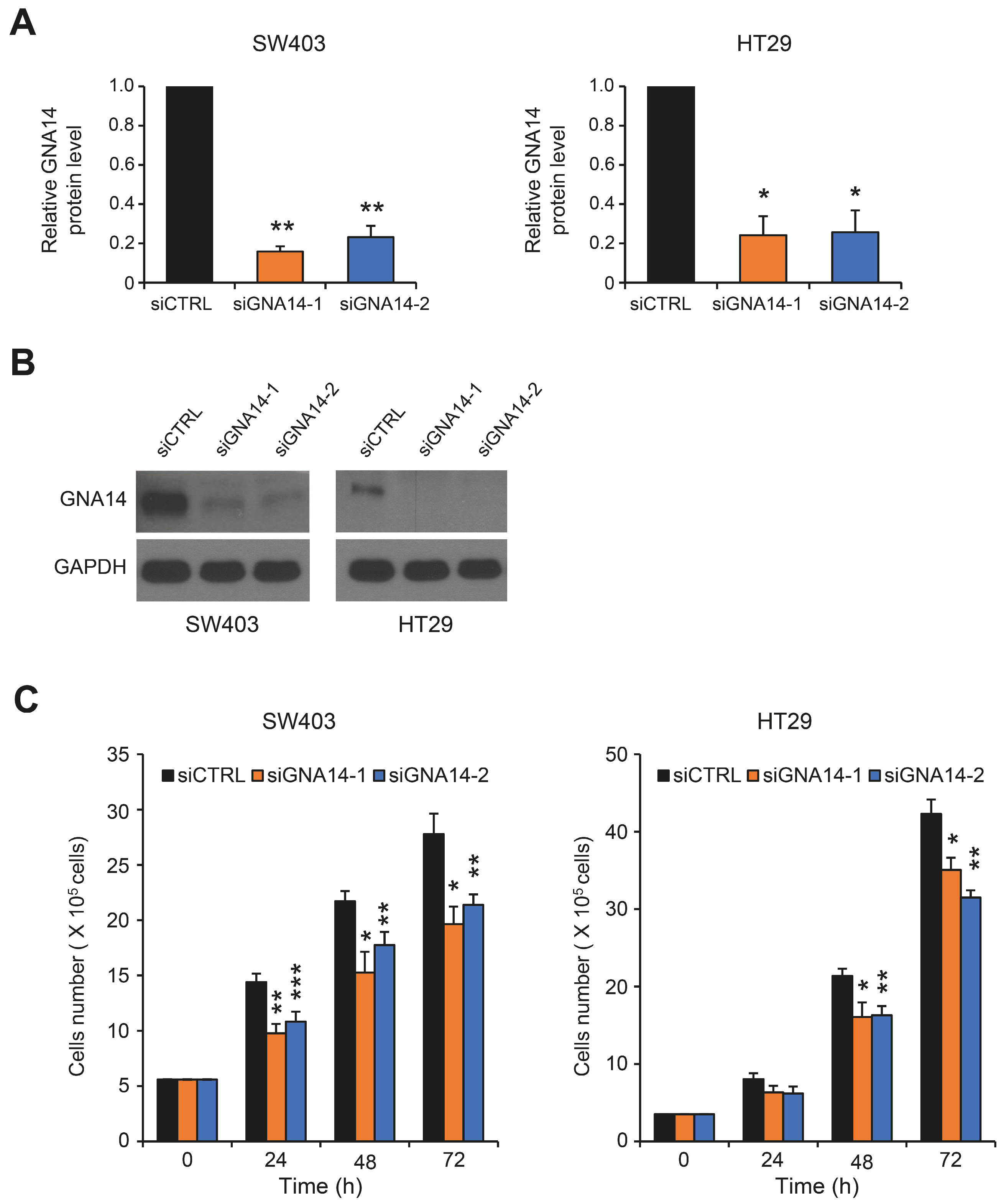 Cancers 15 04572 g001
