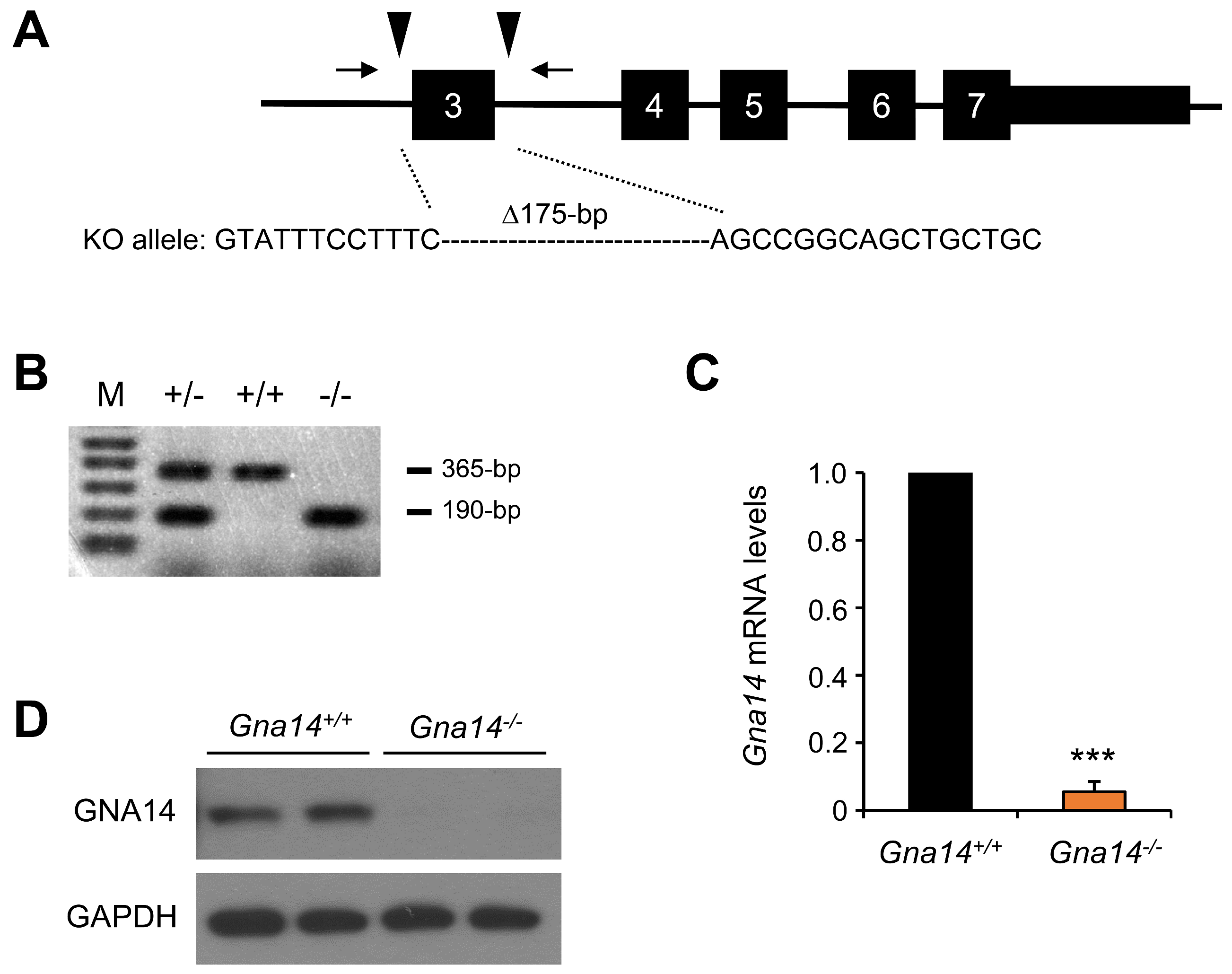 Cancers 15 04572 g002