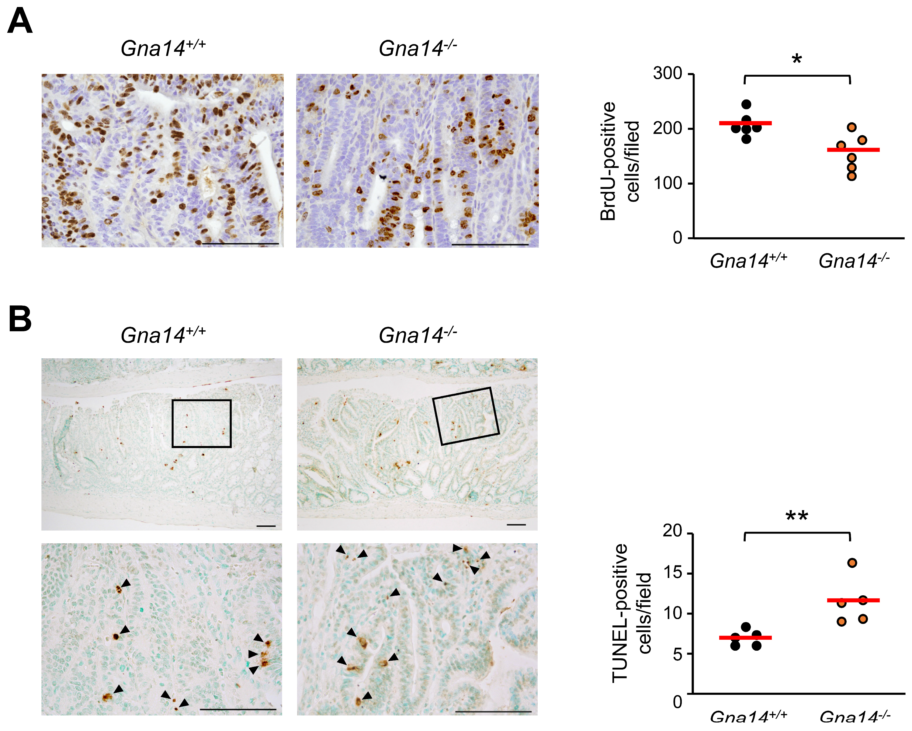 Cancers 15 04572 g005