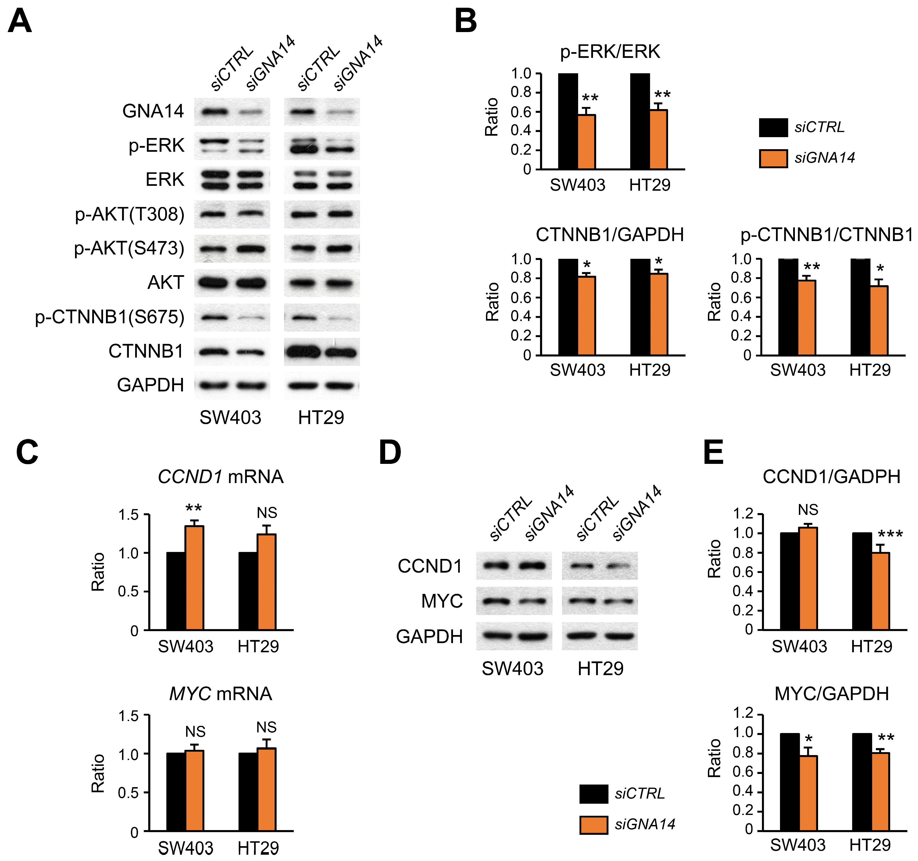 Cancers 15 04572 g006