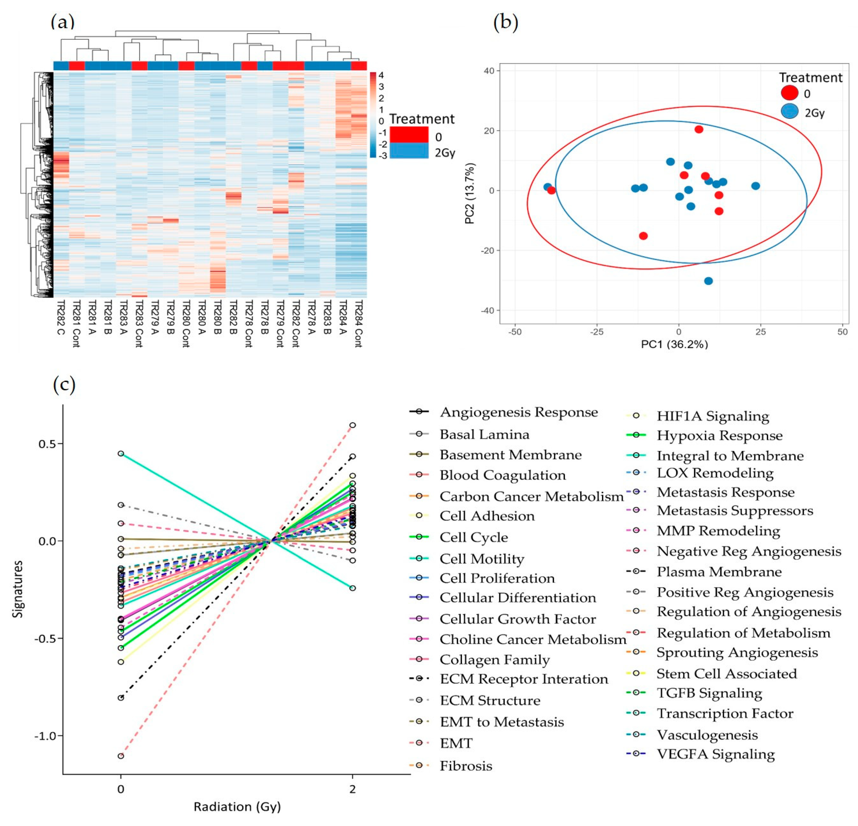 Cancers 15 04575 g007