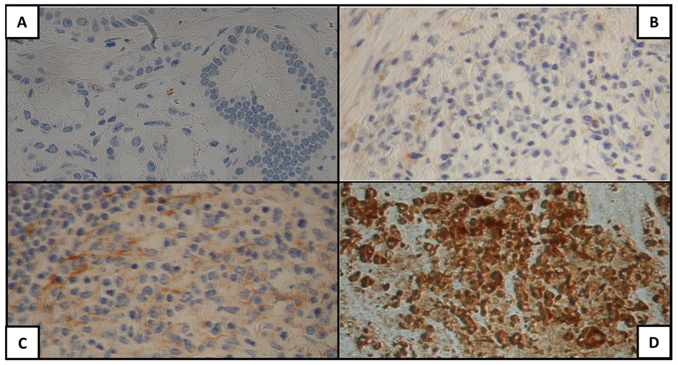 Cancers 15 04586 g001