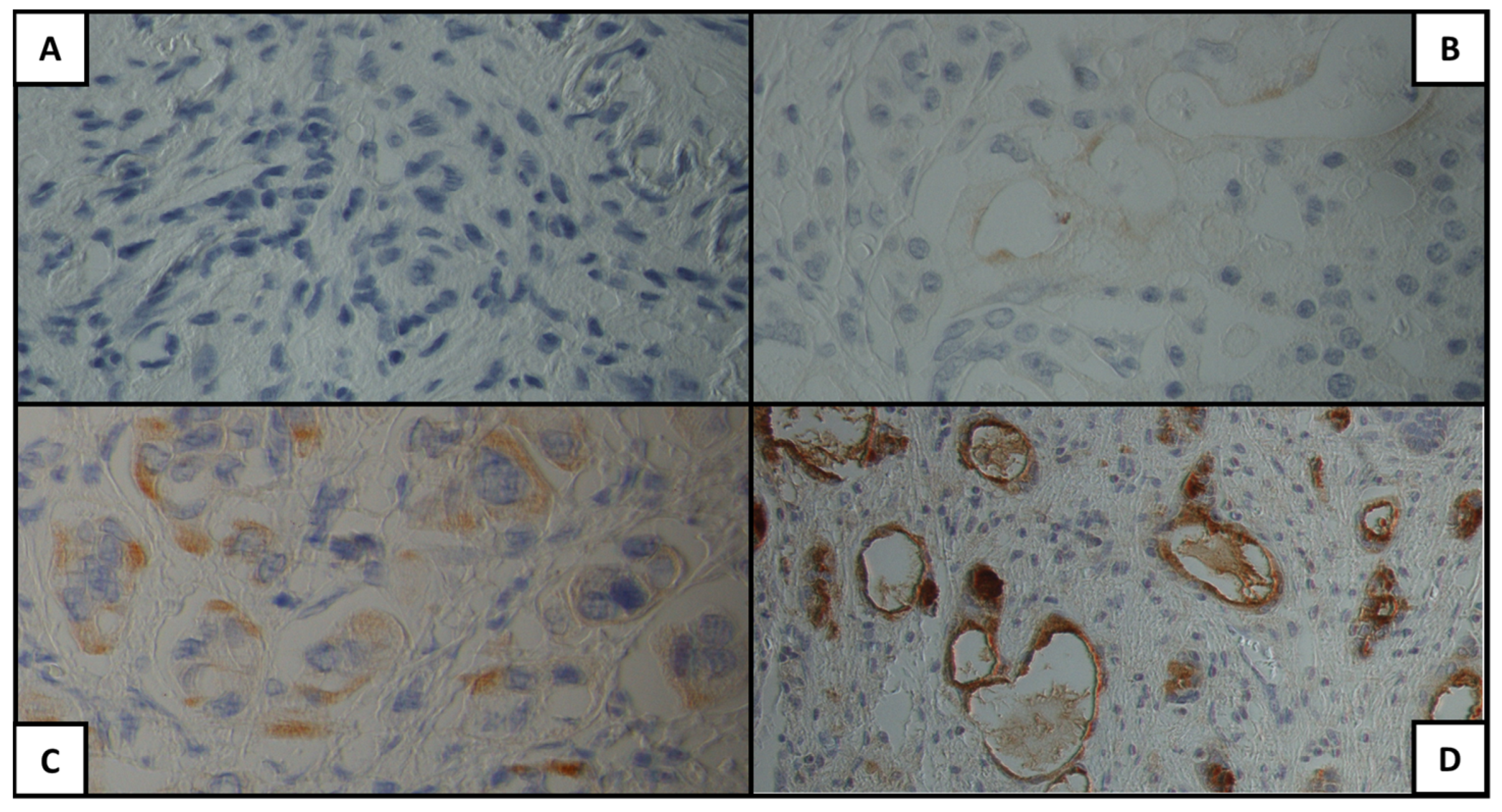 Cancers 15 04586 g002