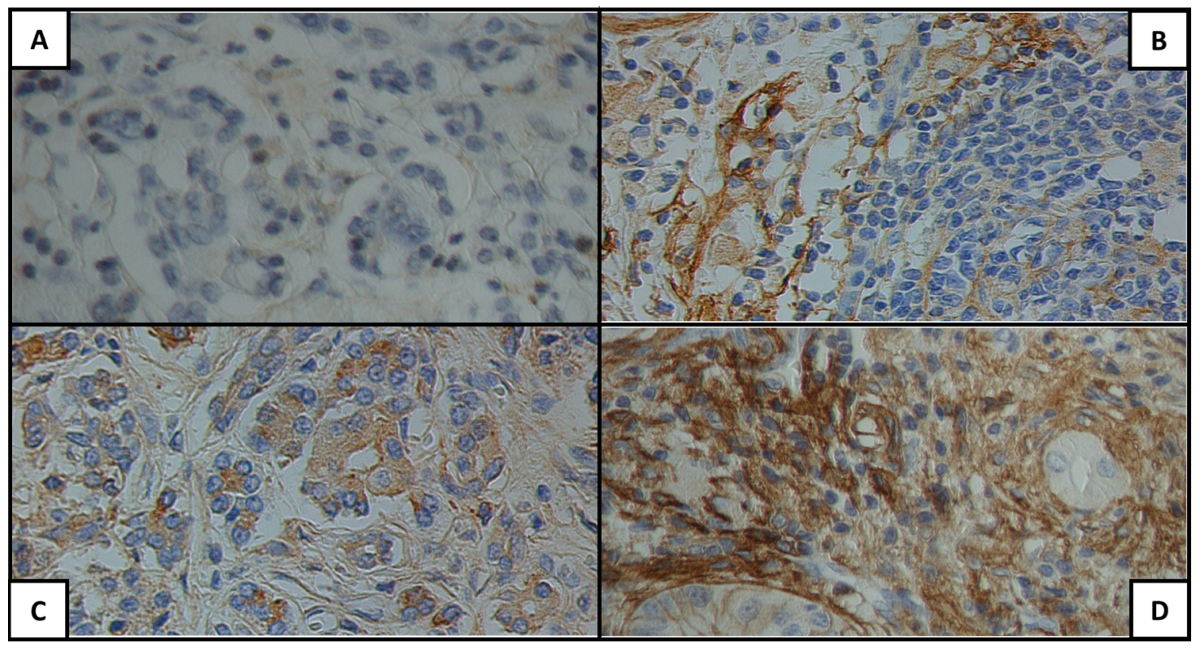 Cancers 15 04586 g003