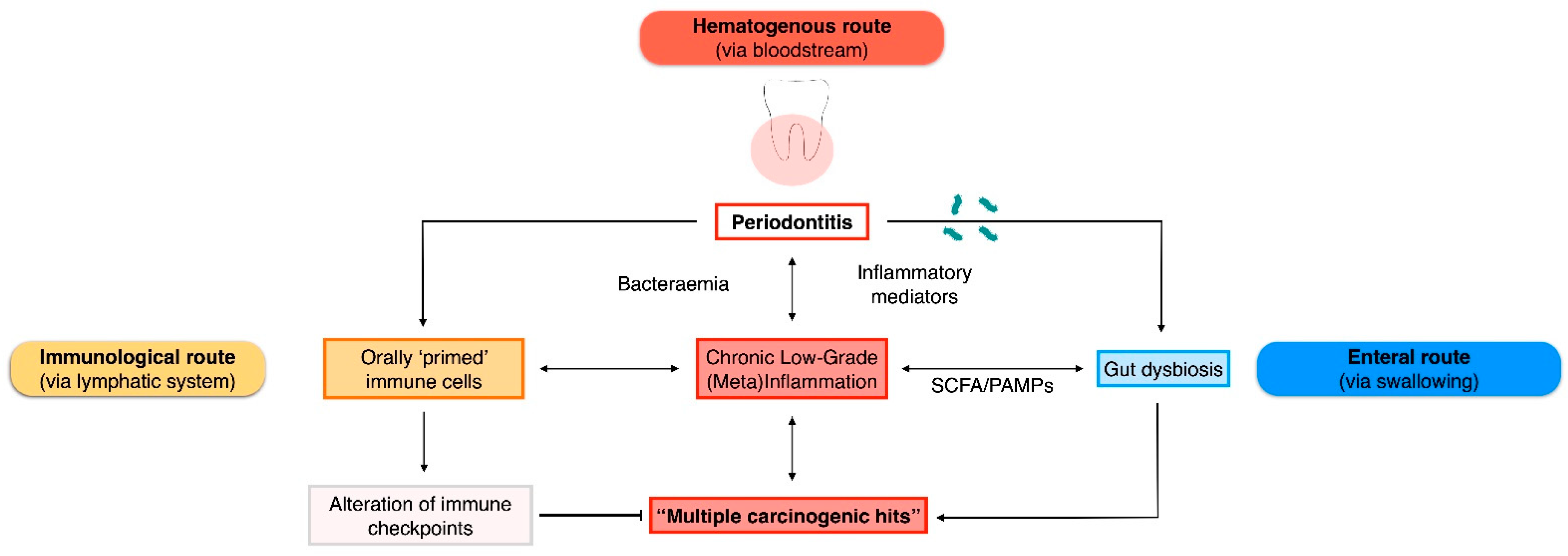 Cancers 15 04594 g001