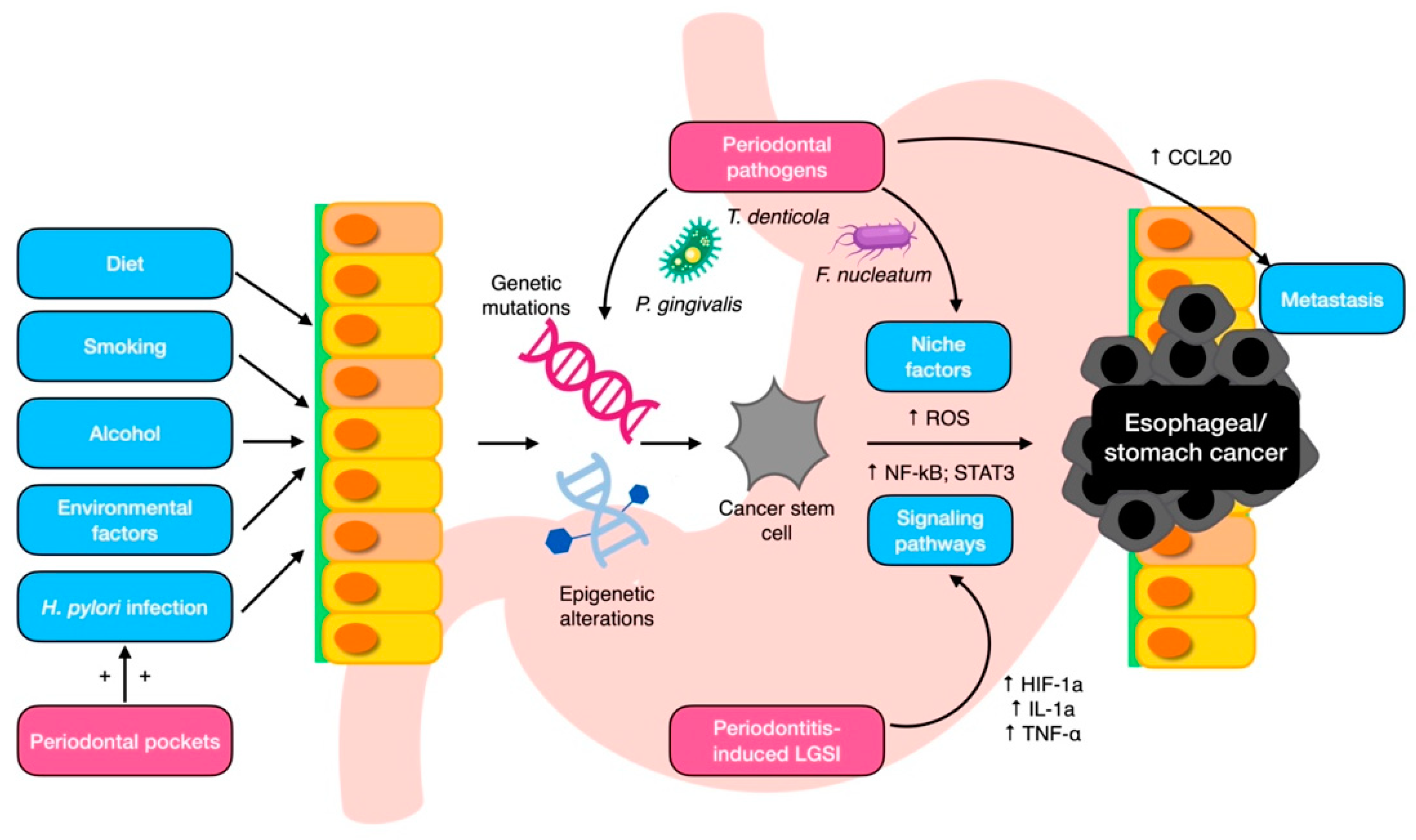 Cancers 15 04594 g002