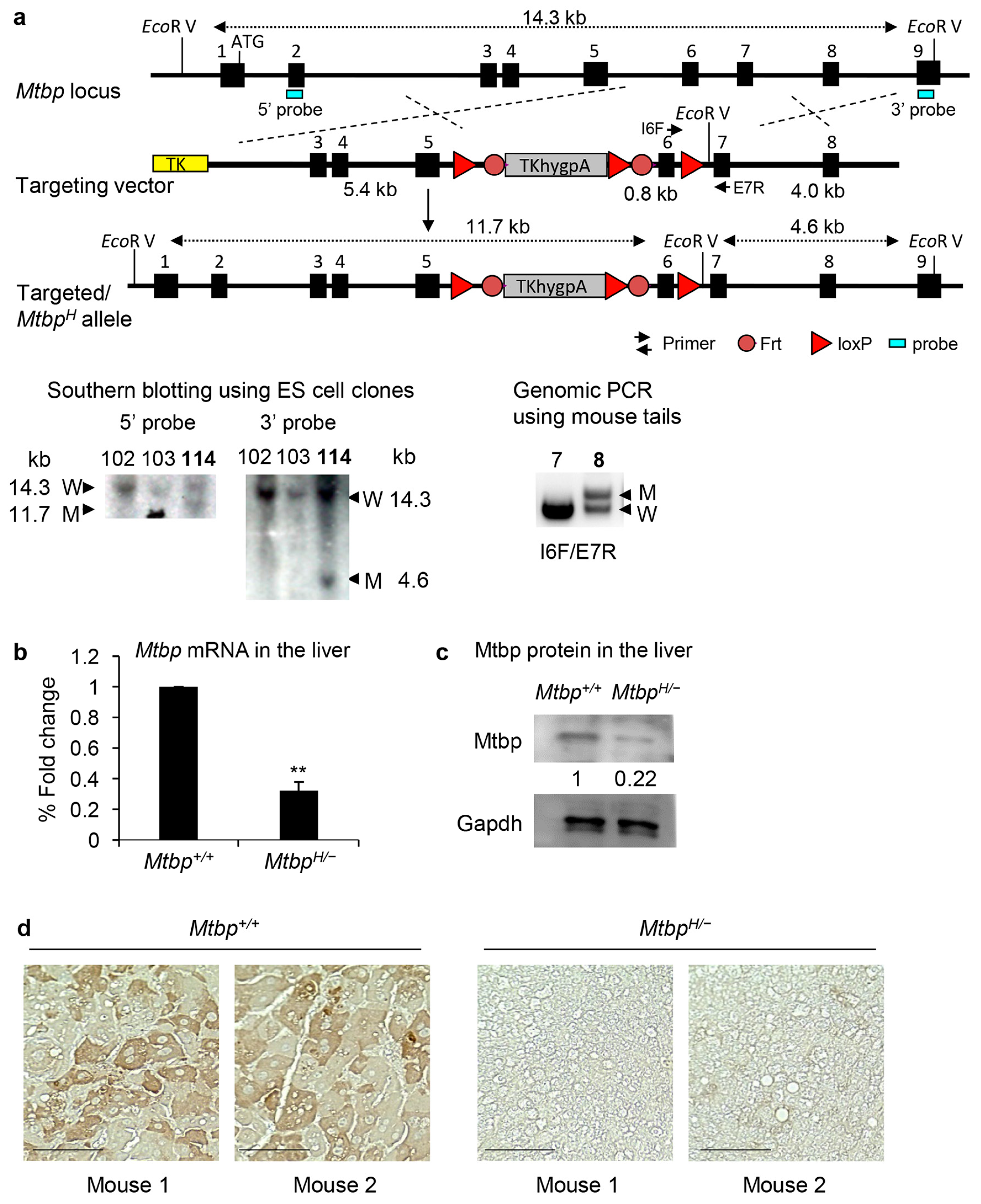 Cancers 15 04596 g001
