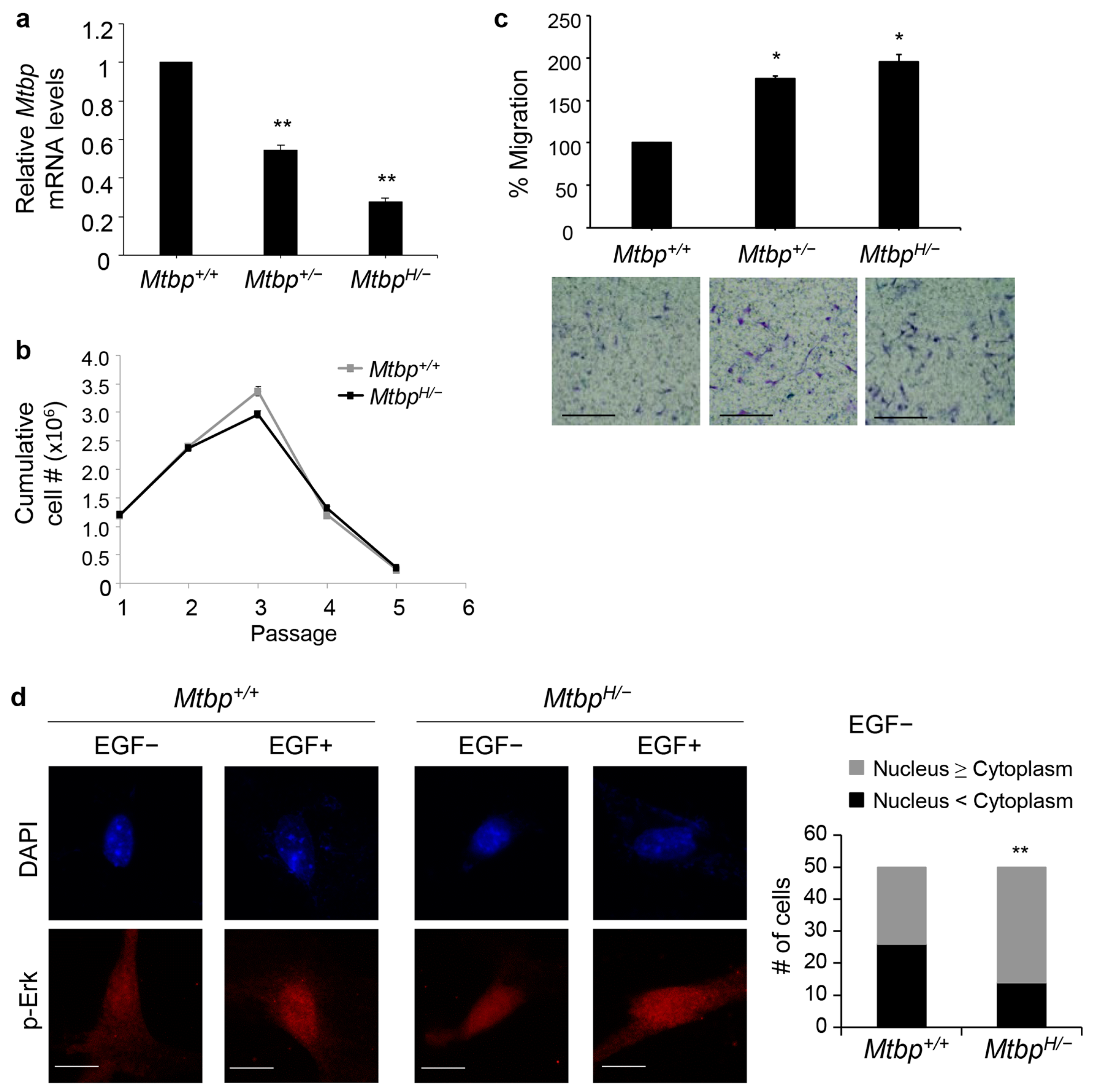 Cancers 15 04596 g002