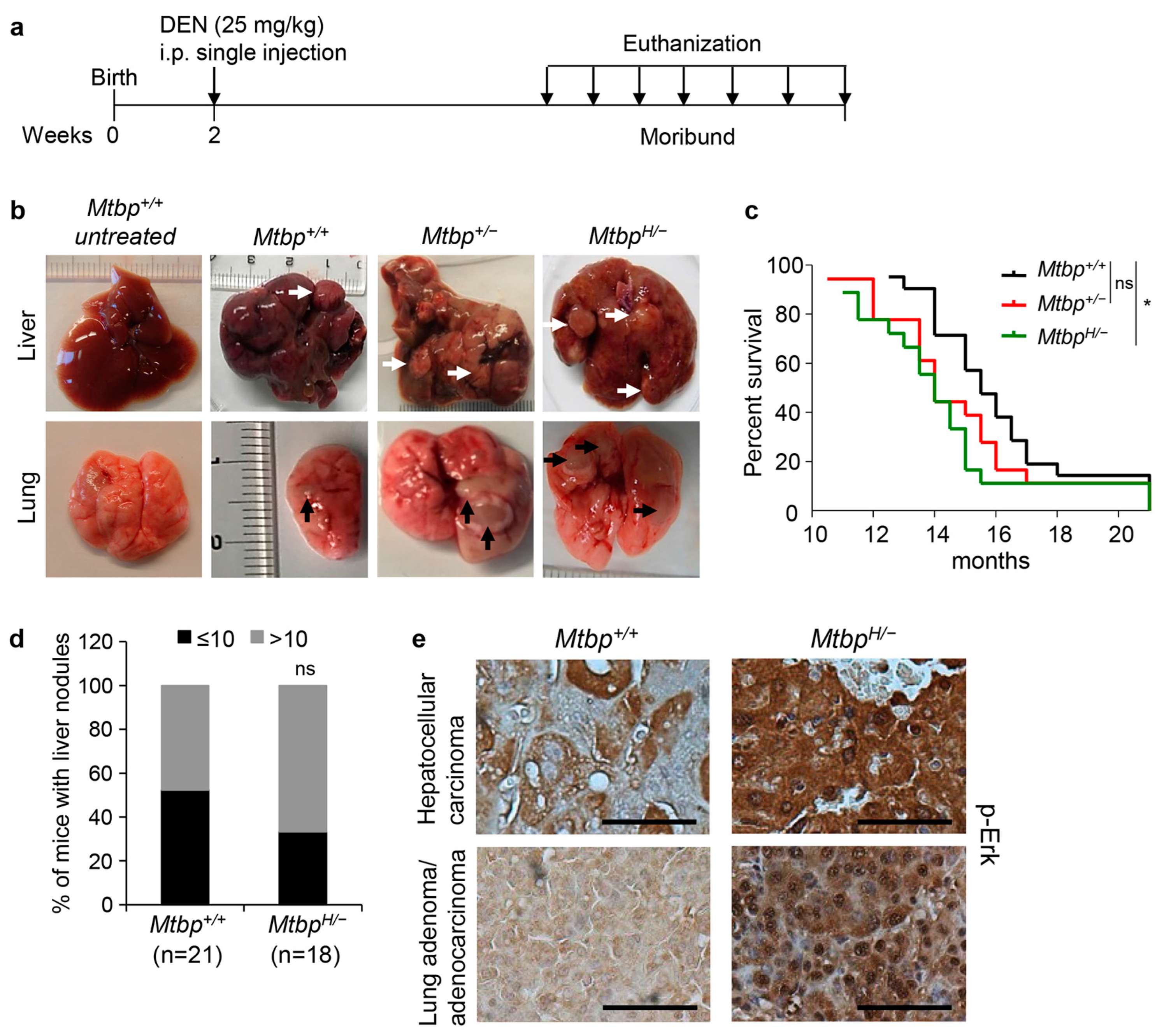 Cancers 15 04596 g003